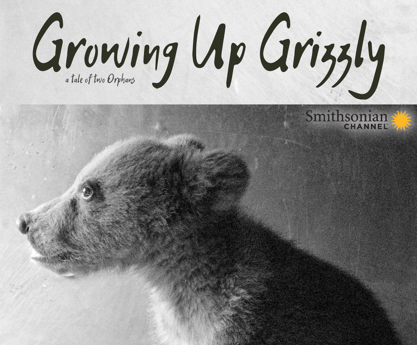 Growing up Grizzly