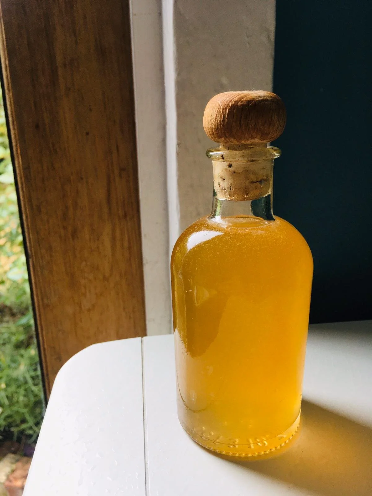 Sambucus Nigra COCKTAIL and Elderflower Champagne