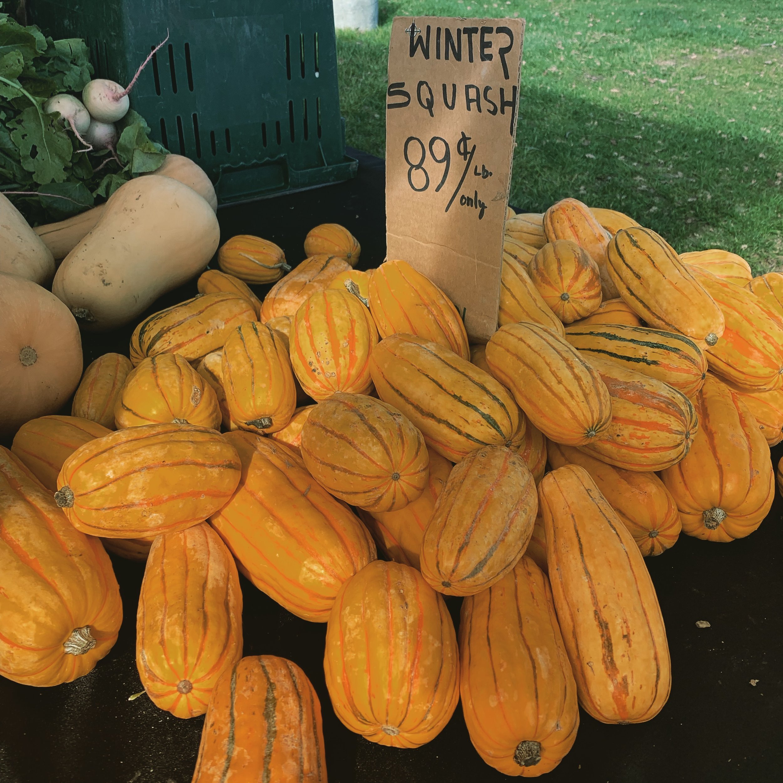 A Picky Eater Meets her Match: Farmers Market