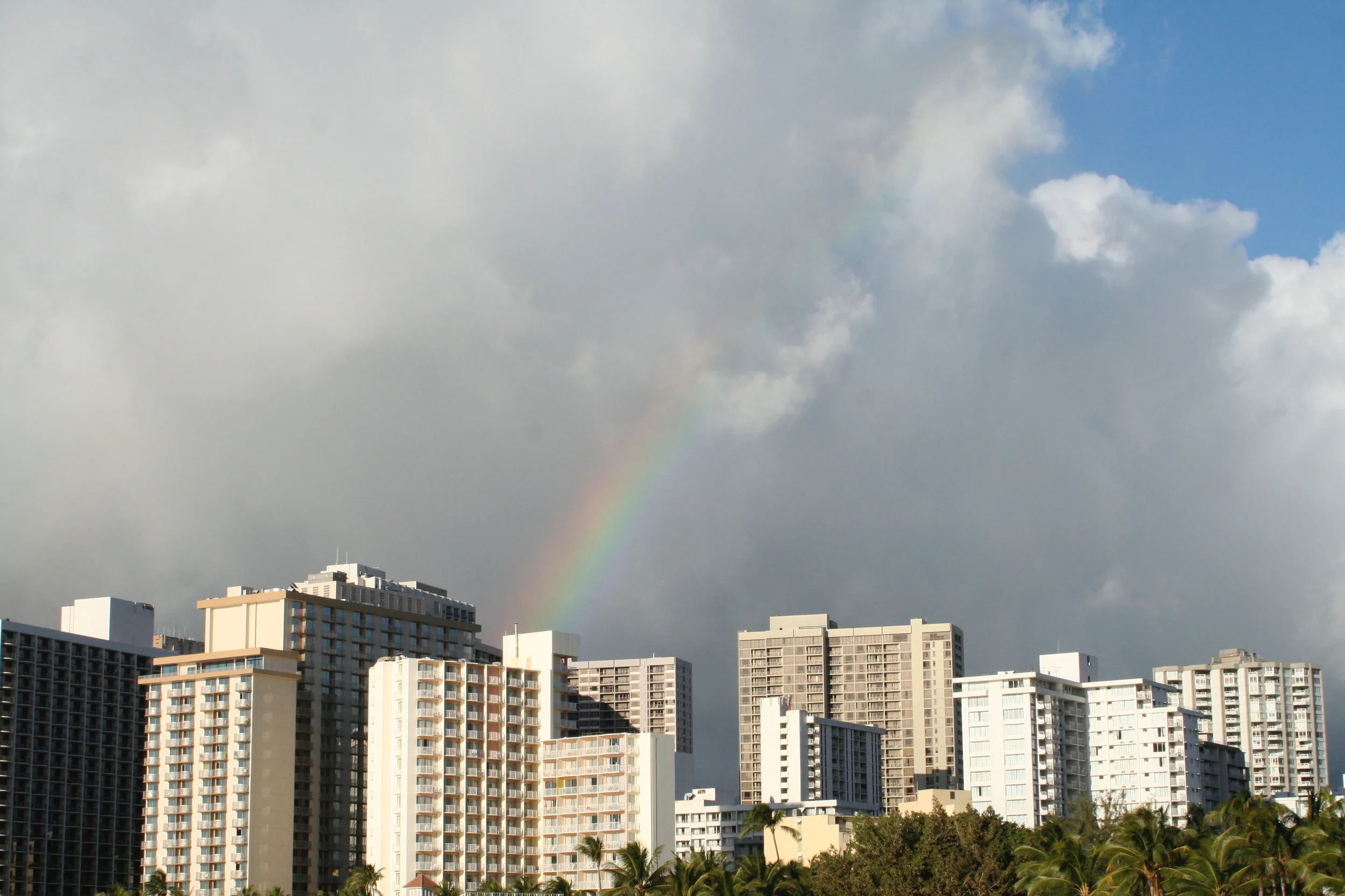 IMG_8225.jpg