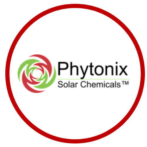 Untitled design (4).png