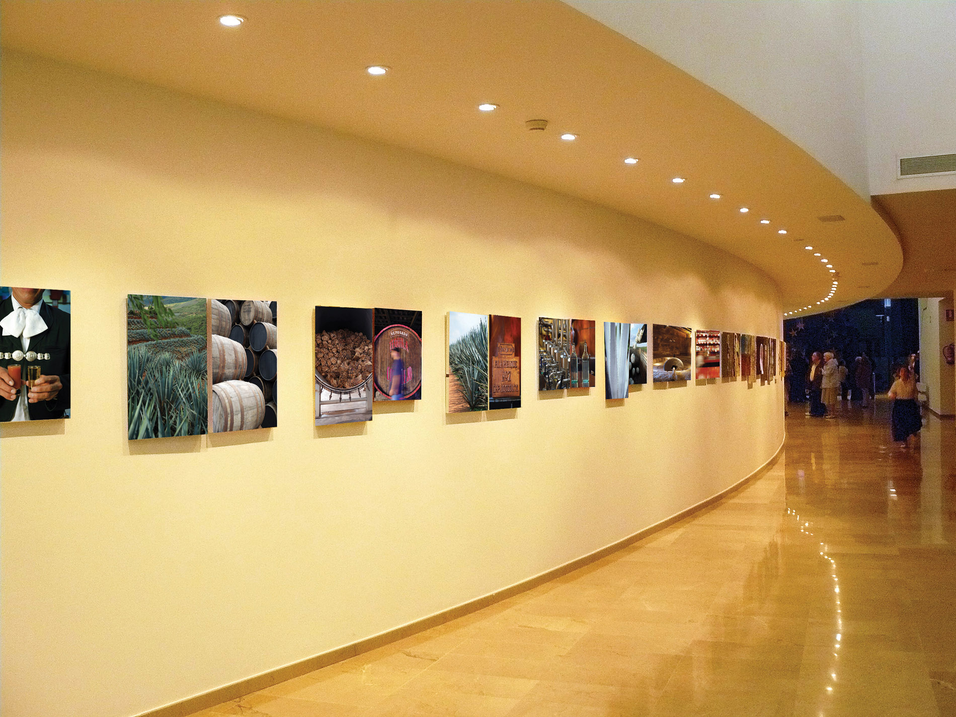 Virro Borja Exhibitions0010.jpg