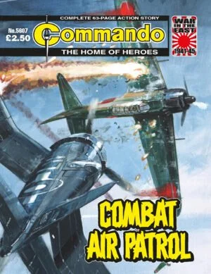 CombatAirPatrol.jpg