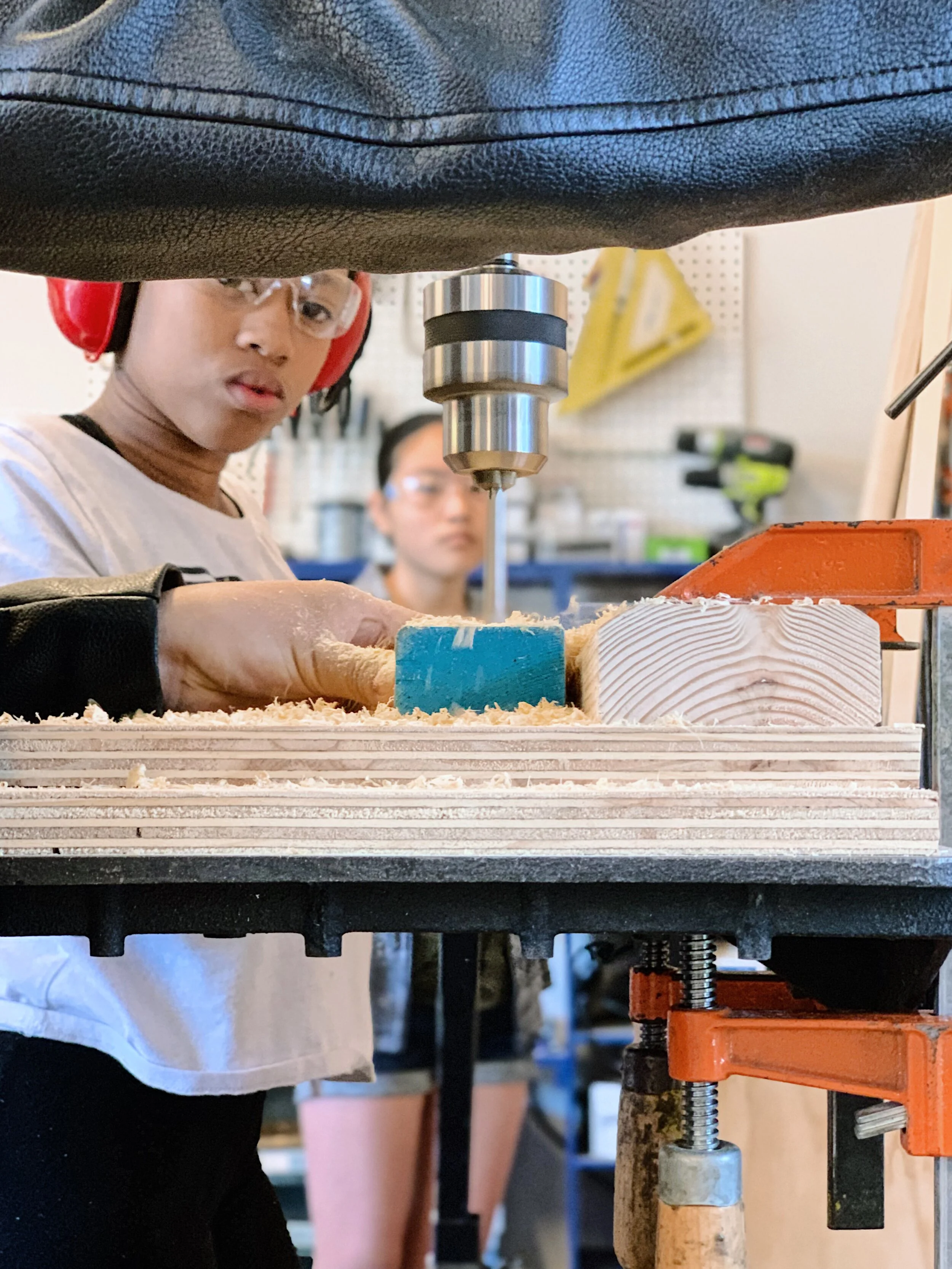 Check out Coyote on Seattle Channel's Art Zone