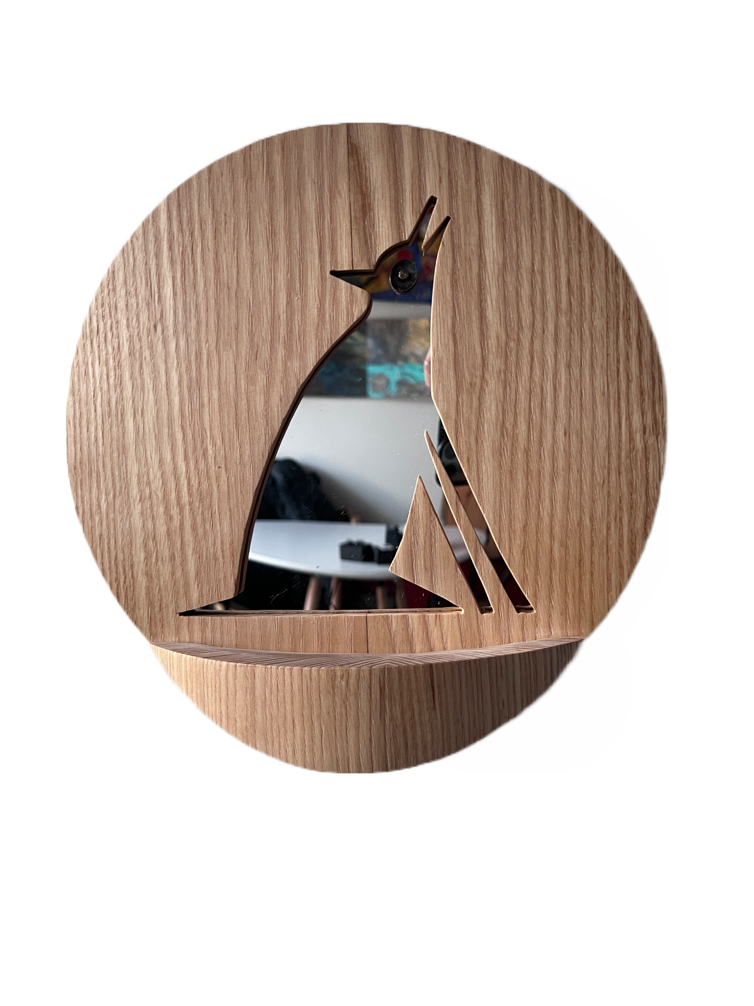 "Coyote Mirror" by Paul Von Rosenstiel 