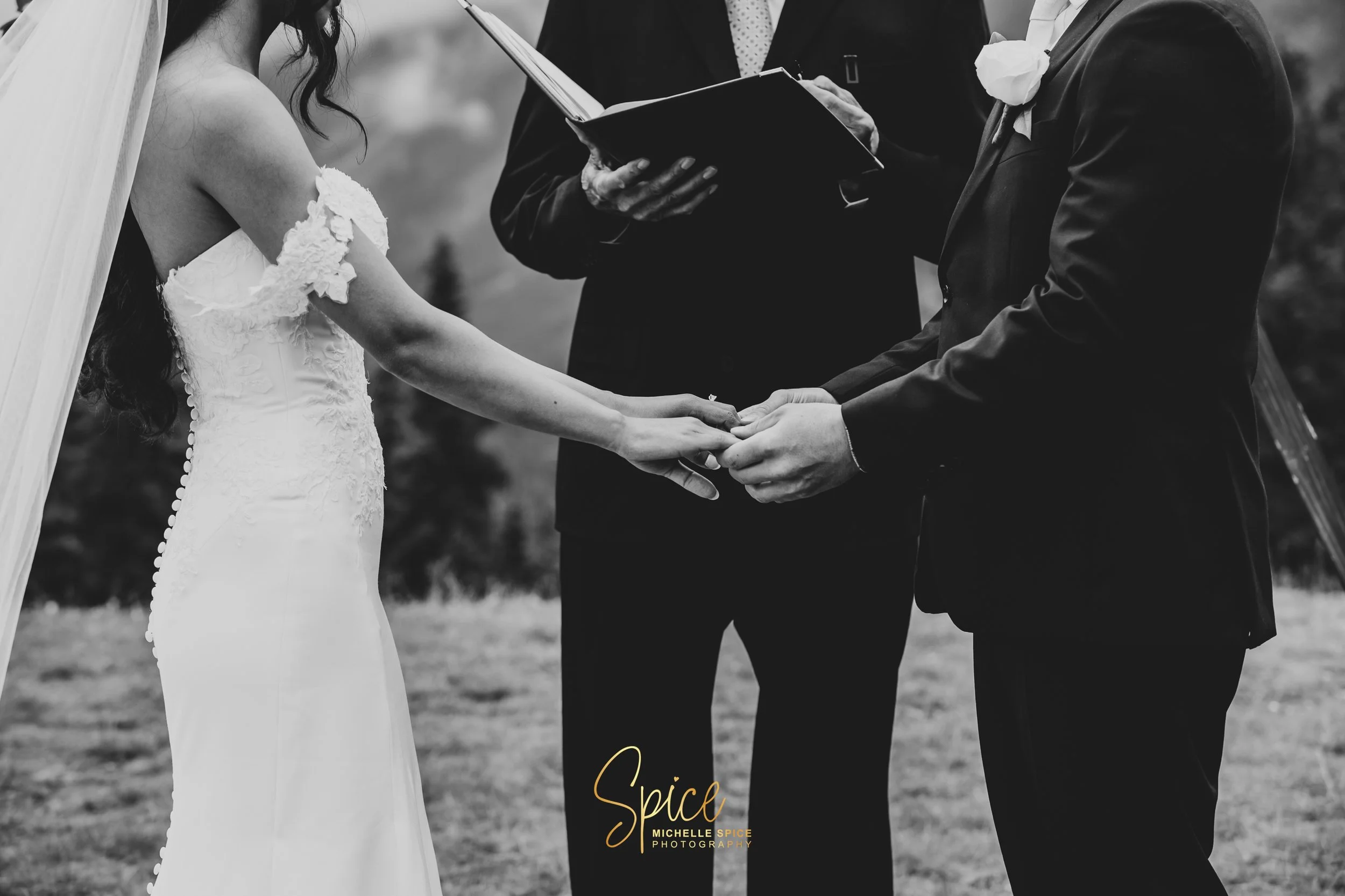 L & E Wedding 2025  -1-11.jpg