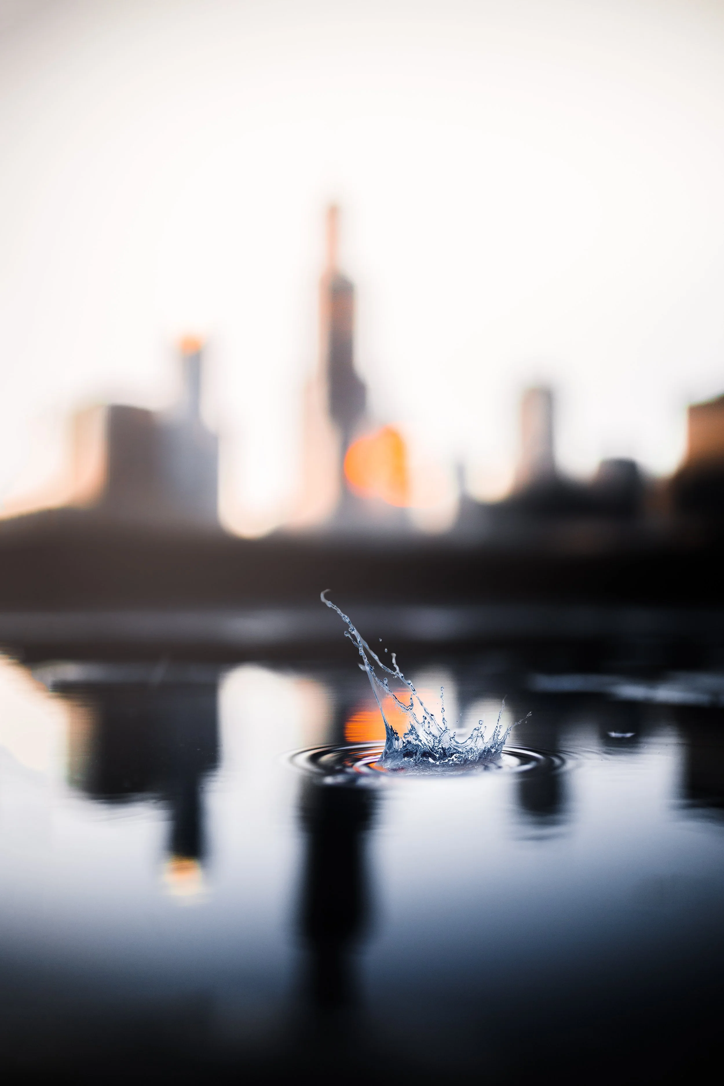 blur-close-up-depth-of-field-1707825.jpg