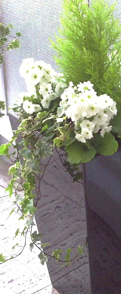 Copy_of_entrance_3.jpg