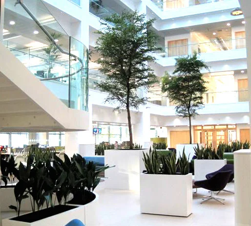 Planters cube Planters troughs.jpg