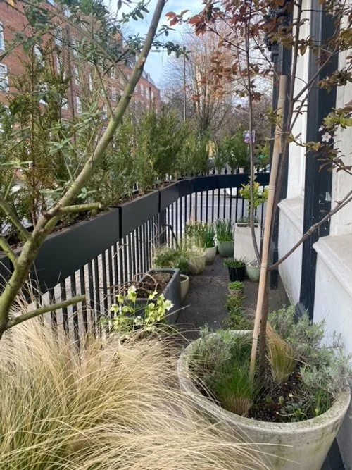 Matte Window Boxes.jpeg