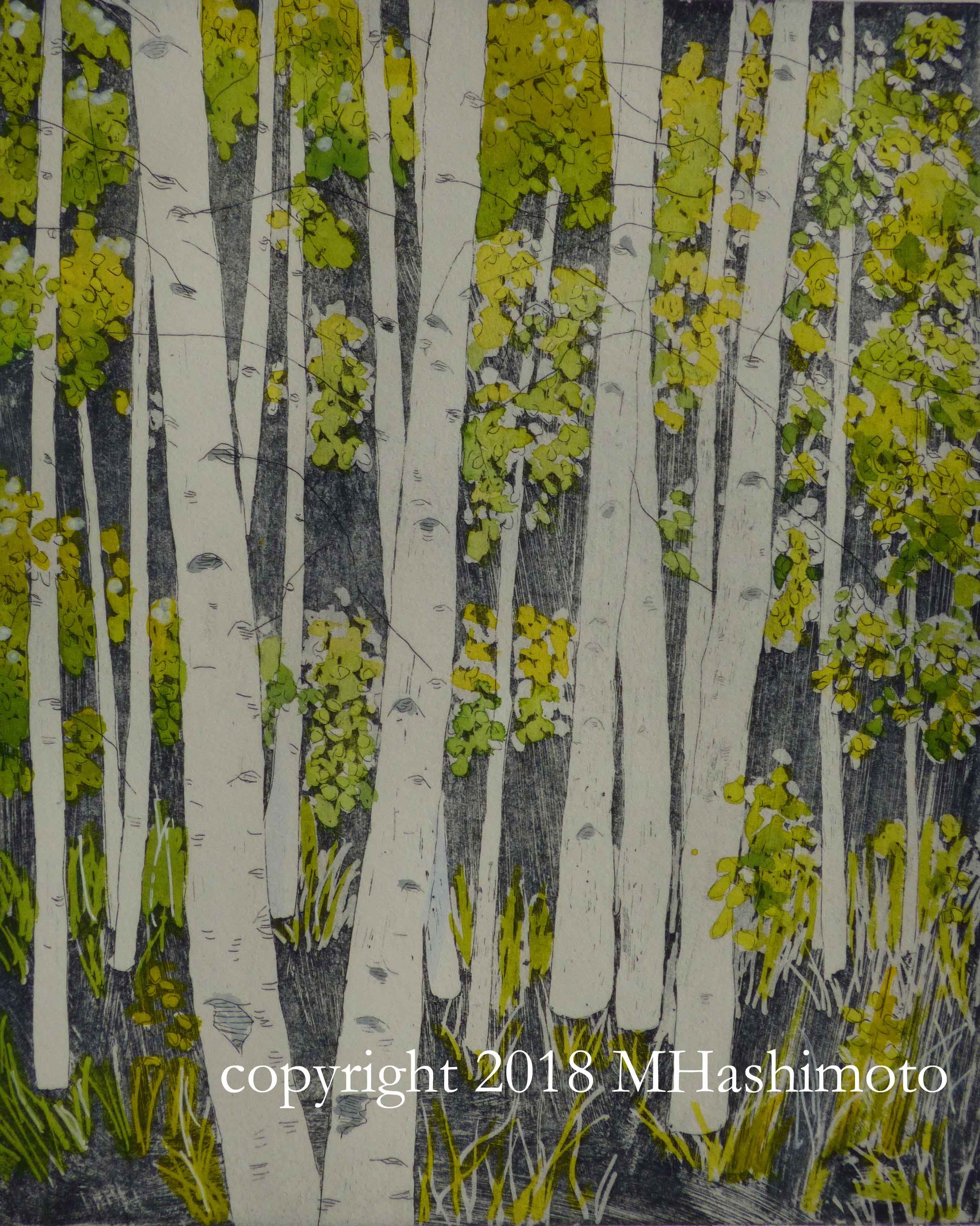 Aspens, hand-tinted with watercolor