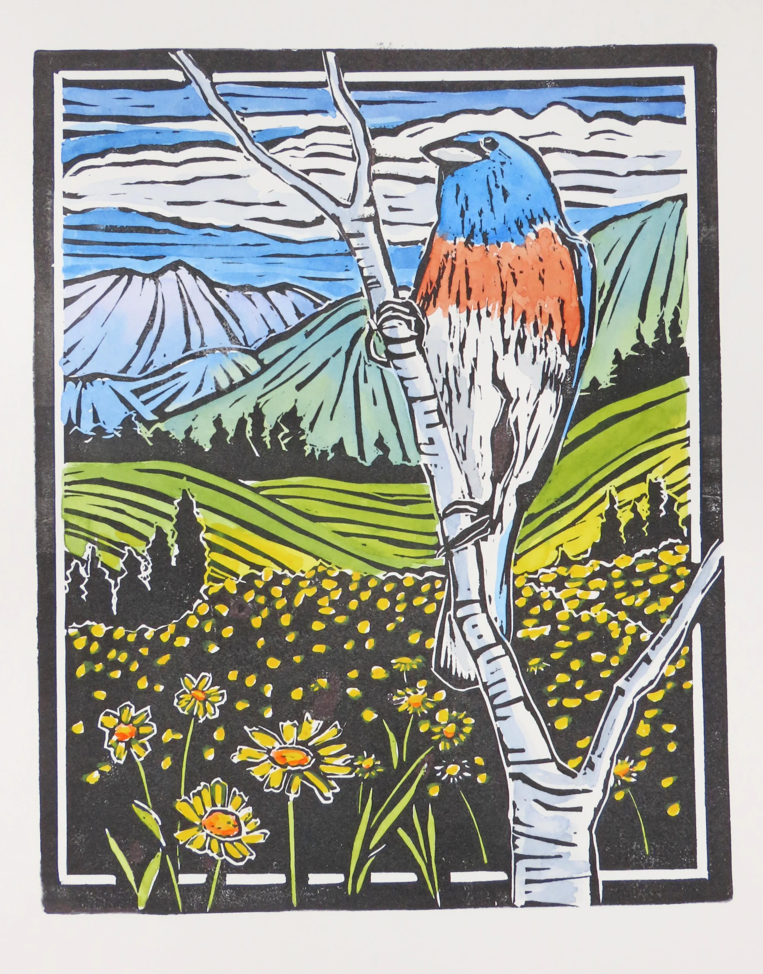 Lazuli Bunting  & Blanket Flowers