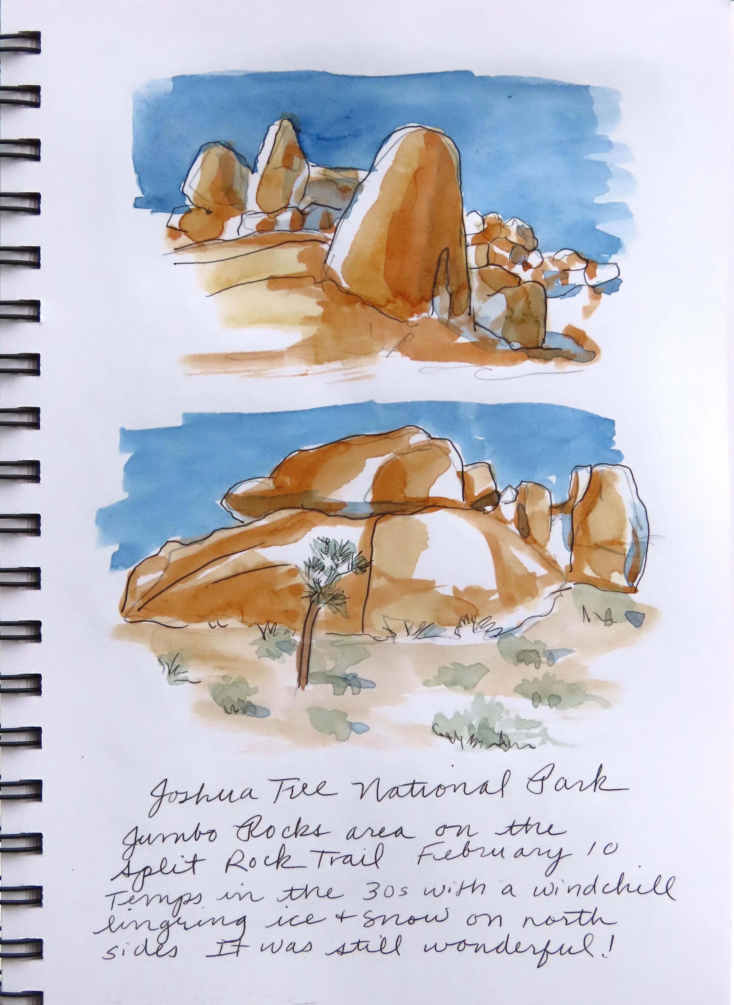 Joshua Tree Sketches.jpg