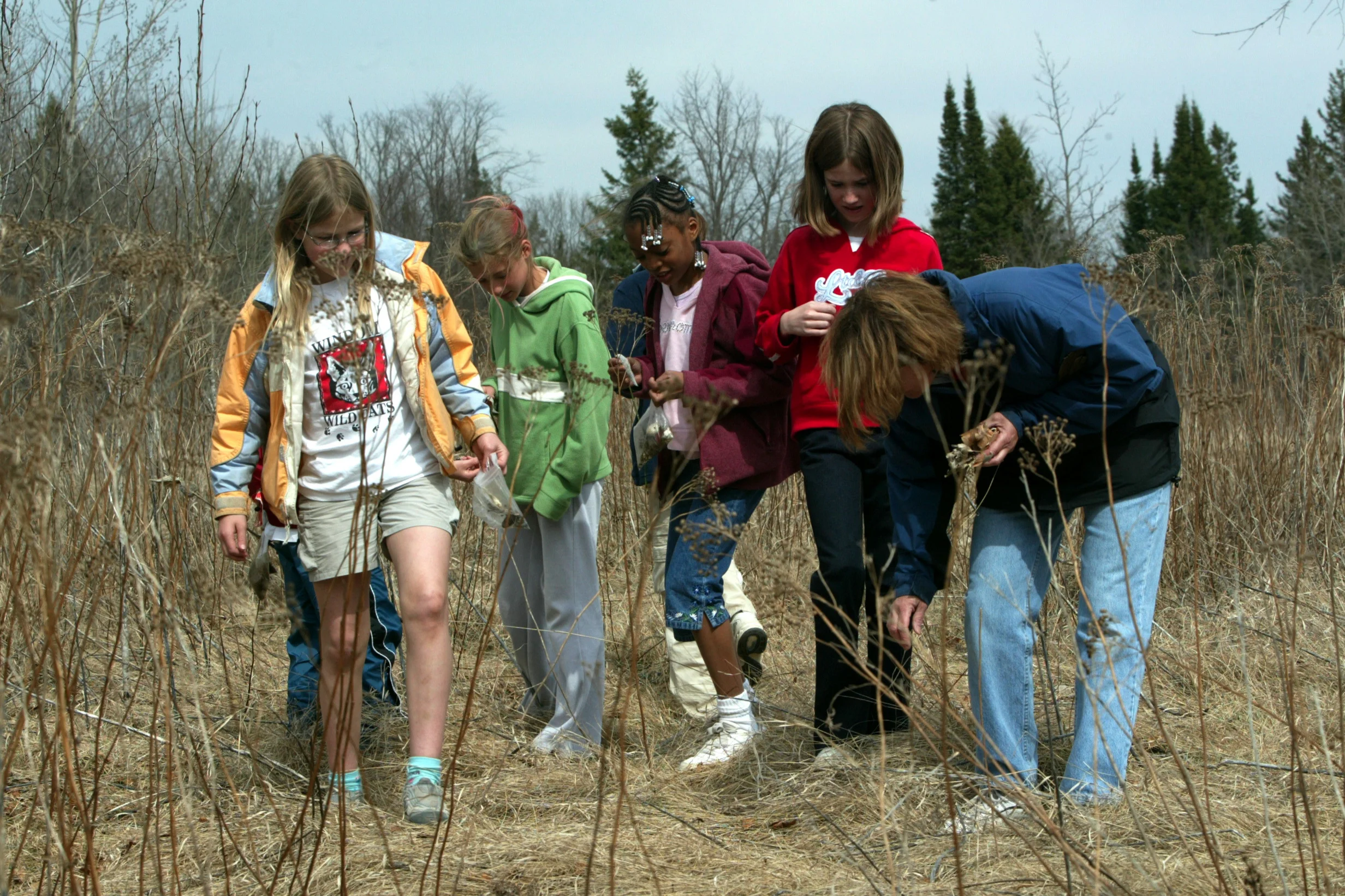 April 2004 Paw Prints Project, Minnesota