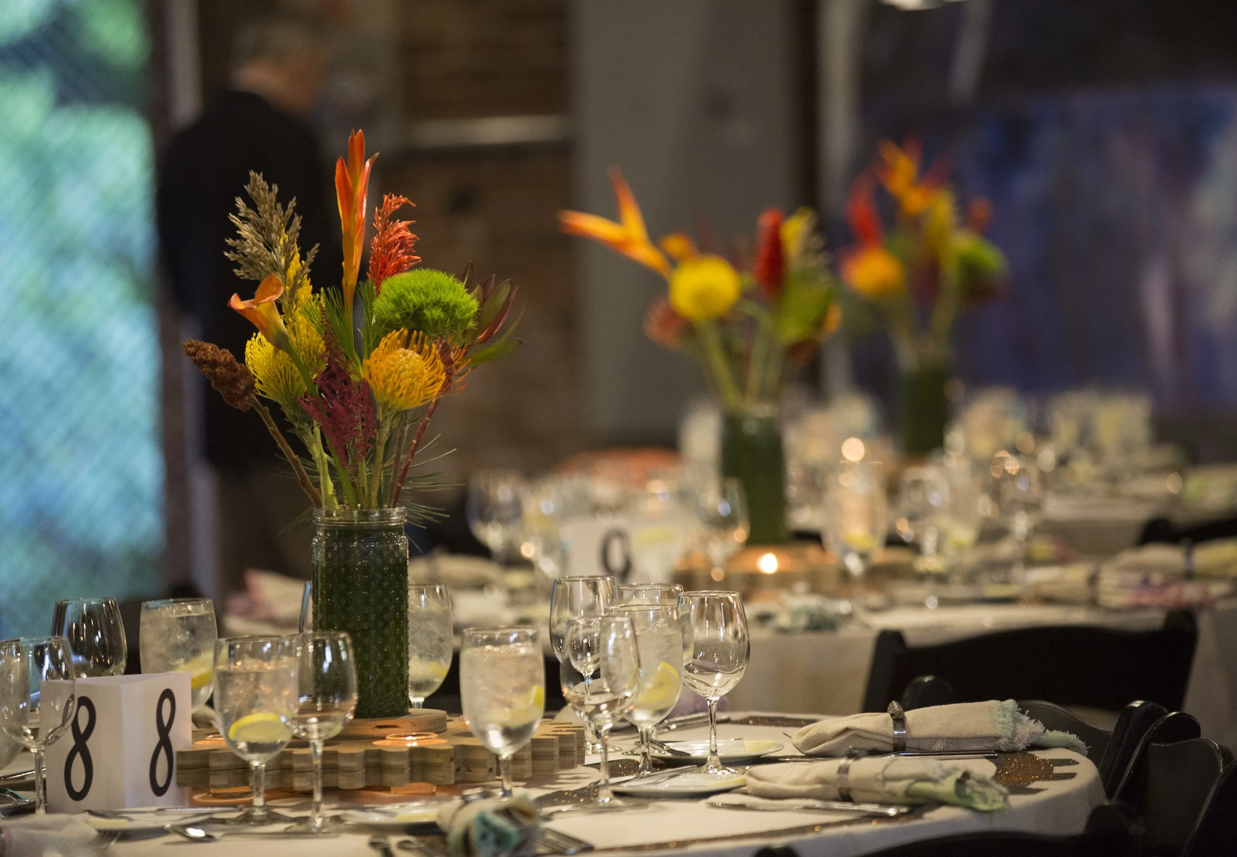 AMP Fundraiser68.jpg