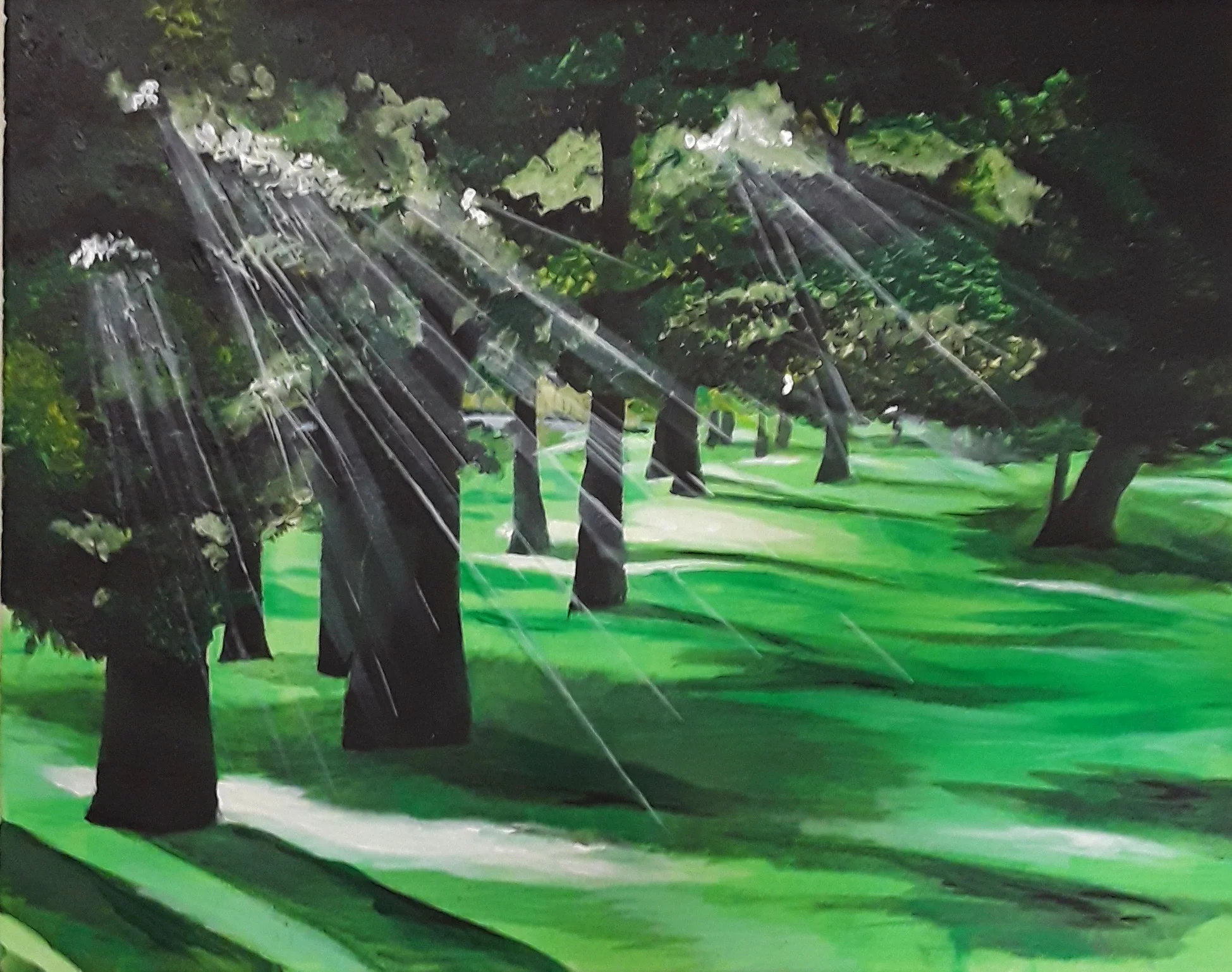Light Through Trees: $45