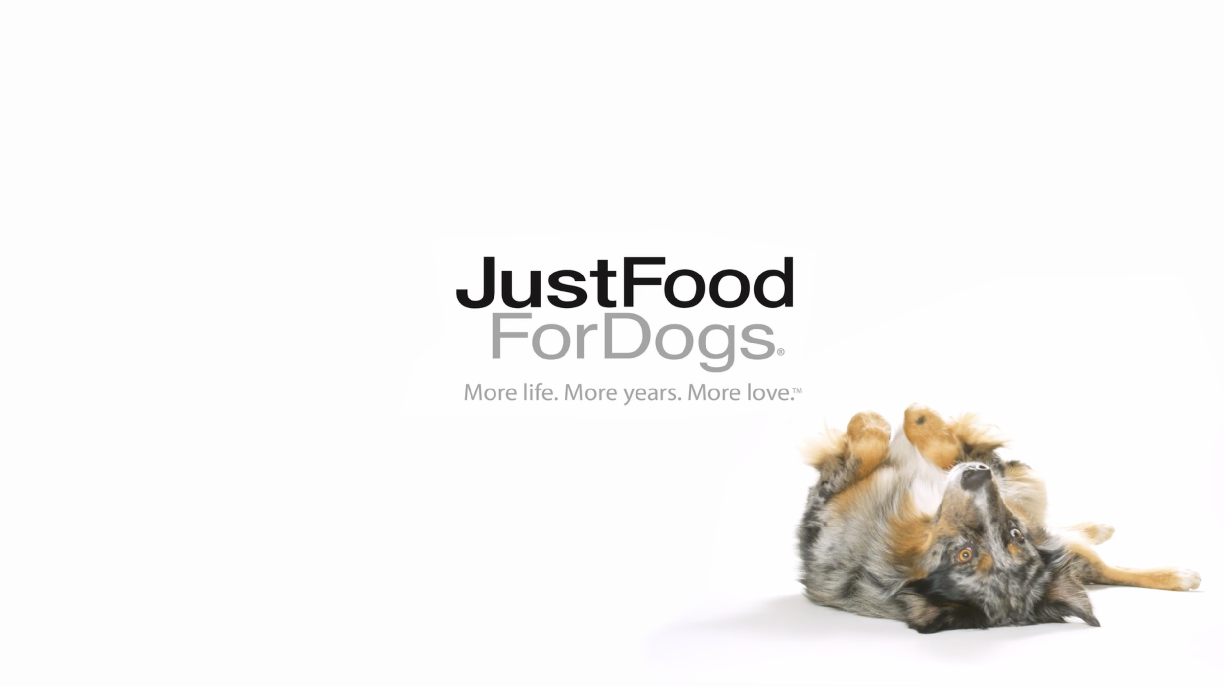 Just Food For Dogs