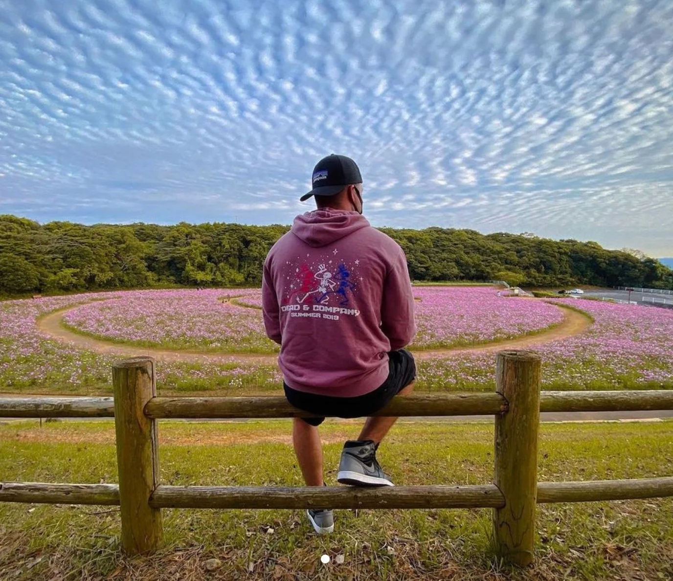 Screen Shot 2021-07-31 at 12.23.12 PM.jpg