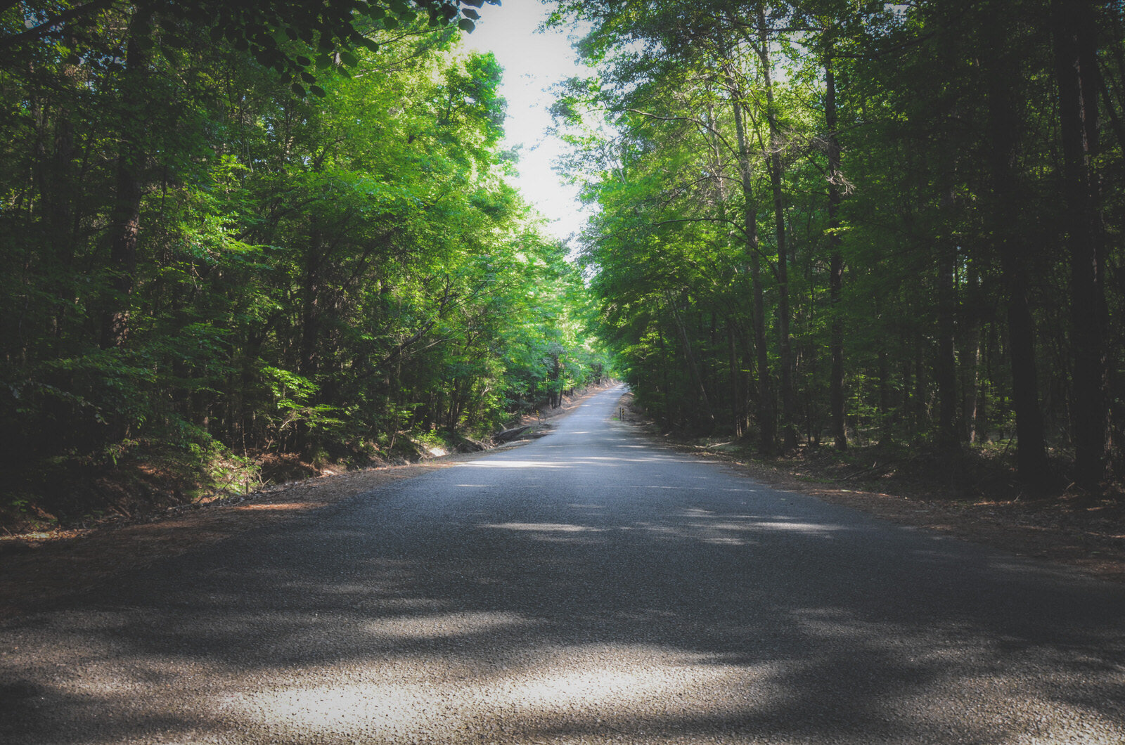 Country Road Escape life (Quitman, Louisiana)