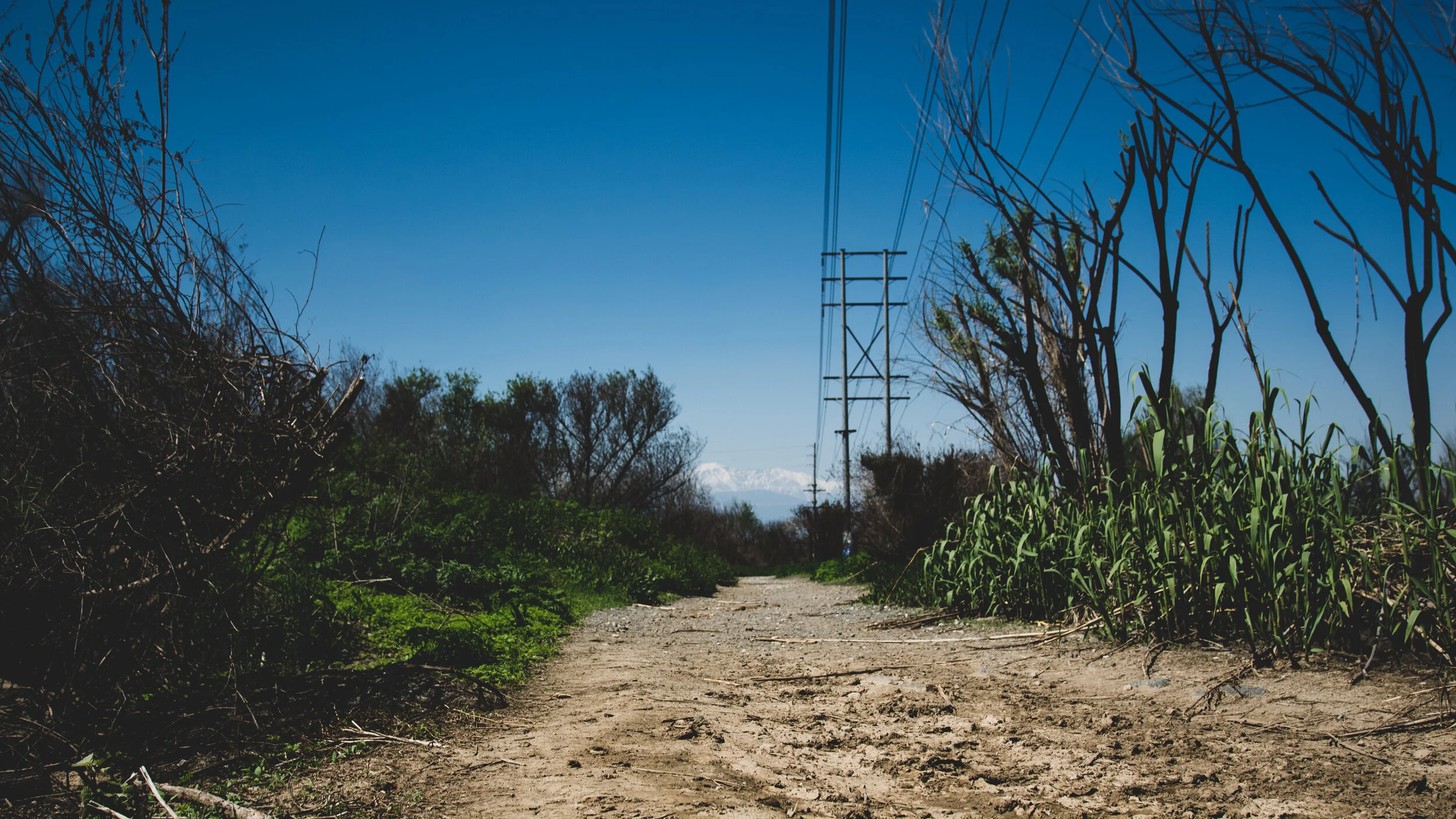 Norco Trail