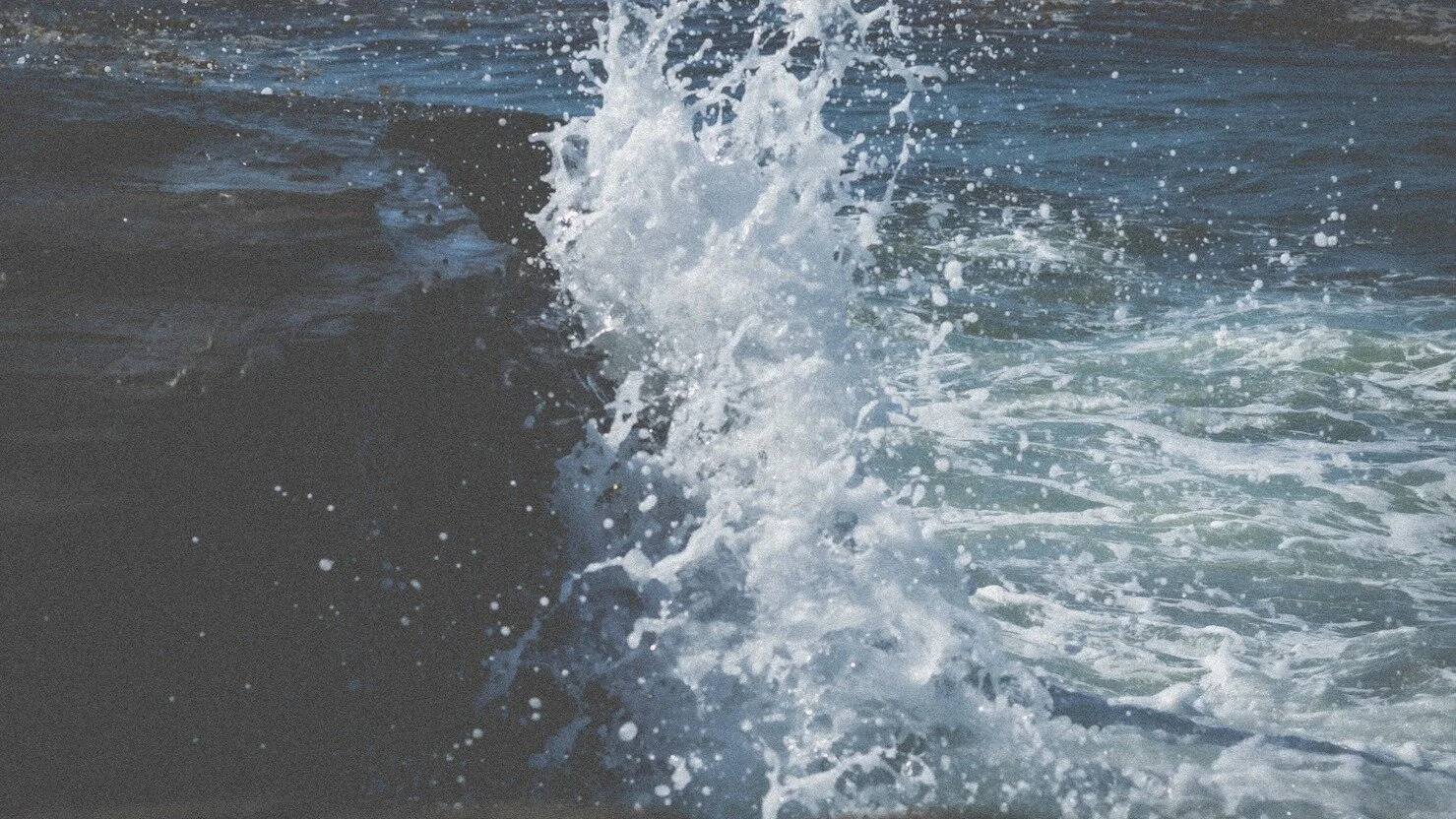 th-21579558668-1479x832.jpg