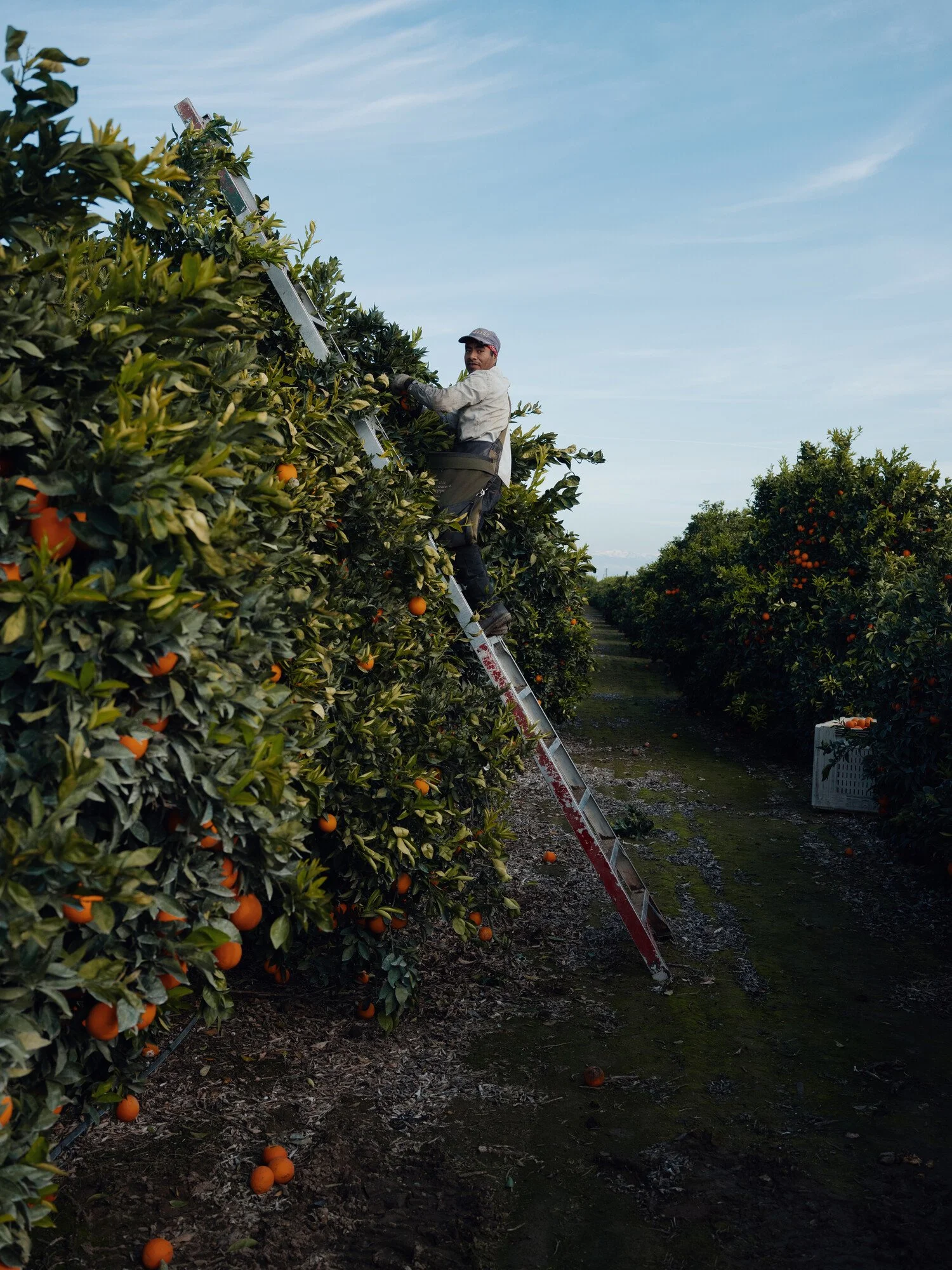 Virtual Q&amp;A: CatchLight Global Fellowship 2026