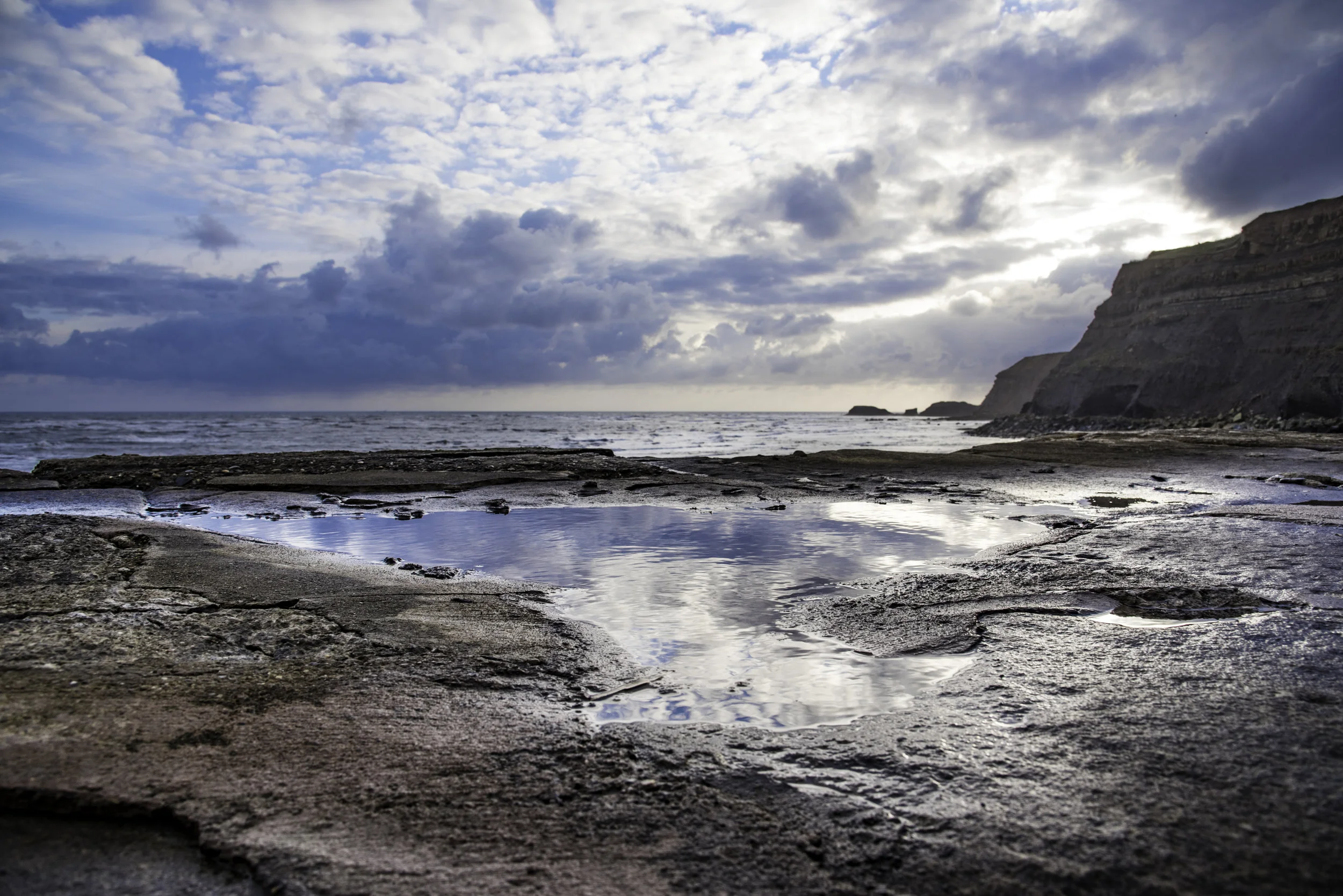 _DSC1009a.jpg