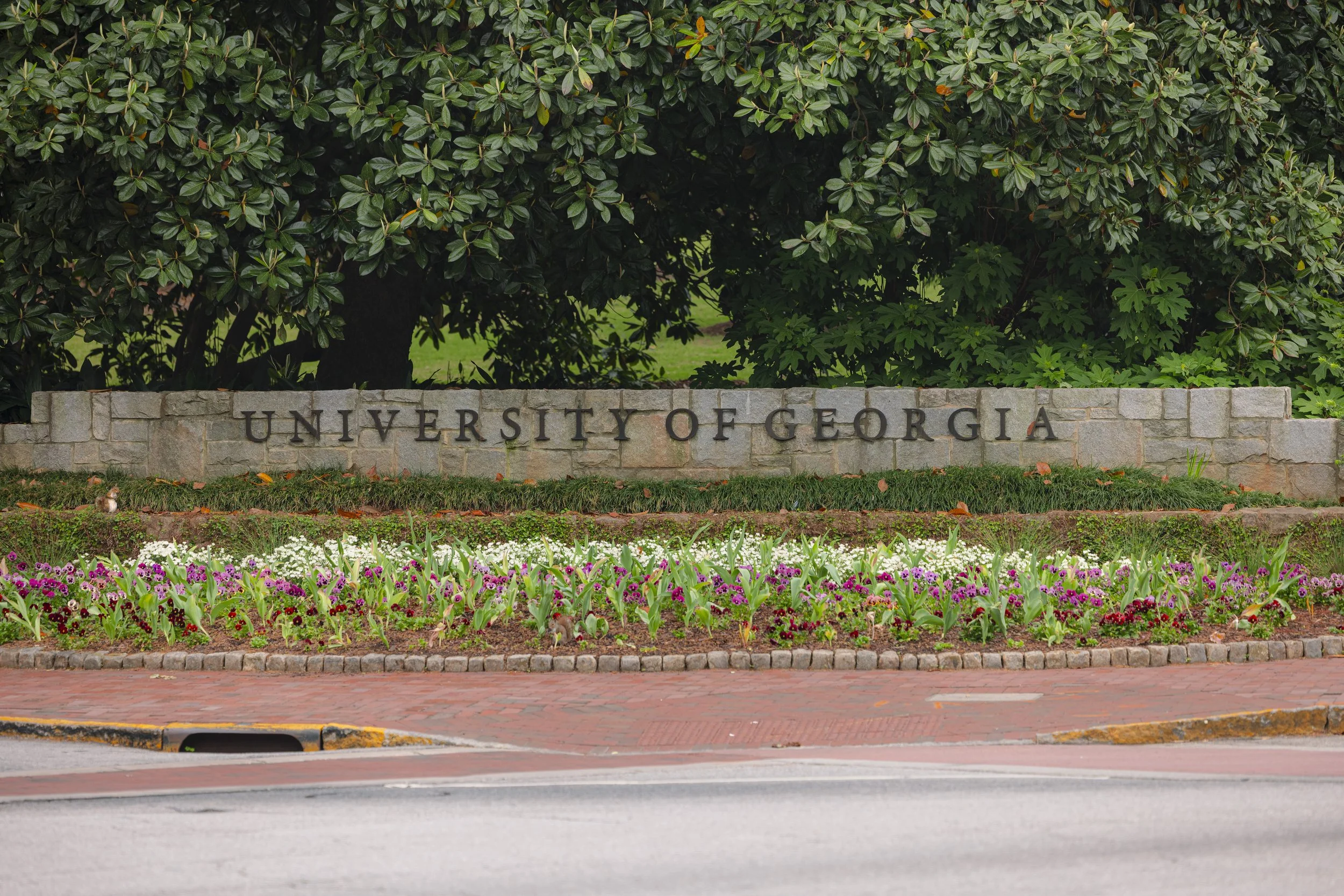 UGA Sign