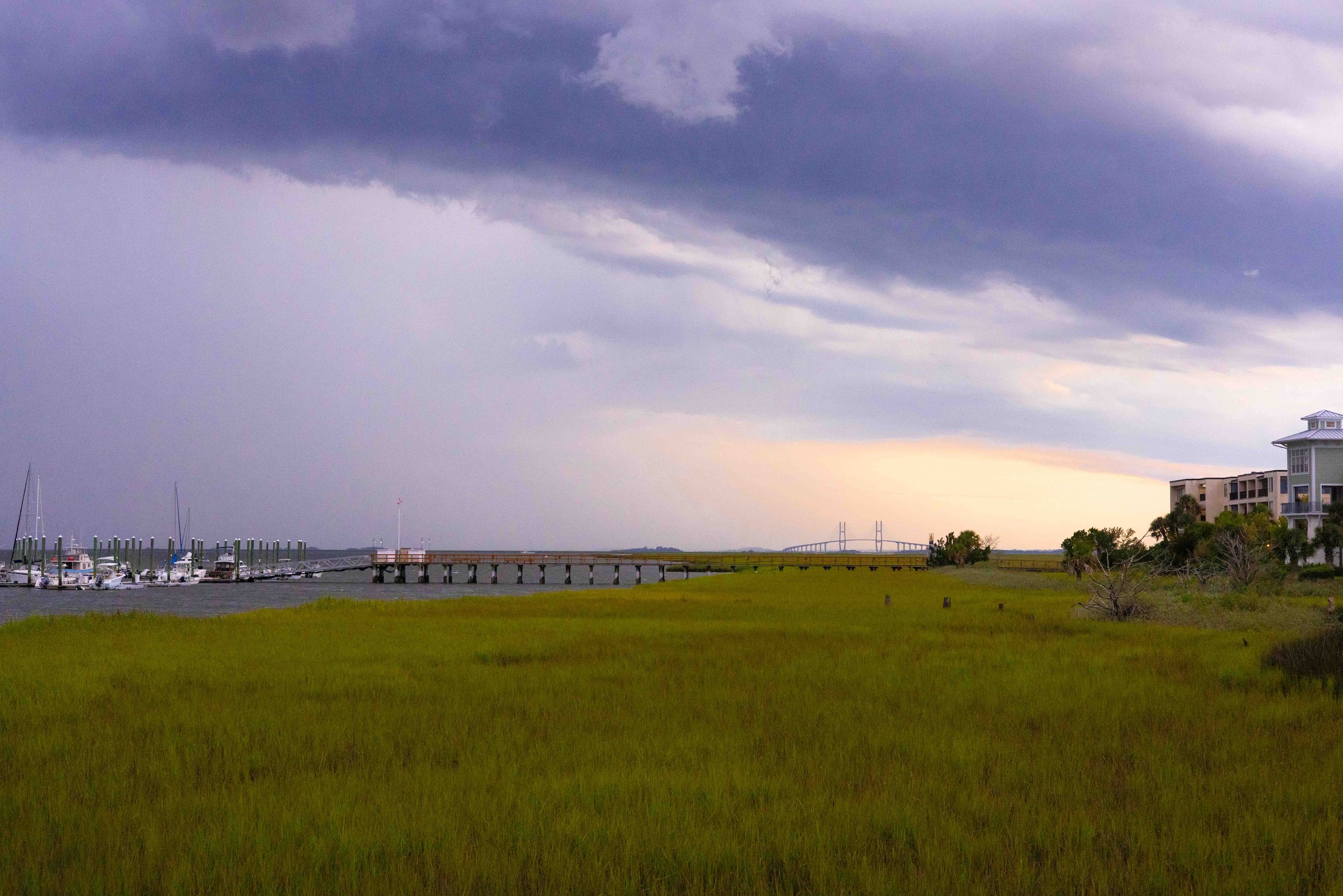 Sidney Lanier Bridge