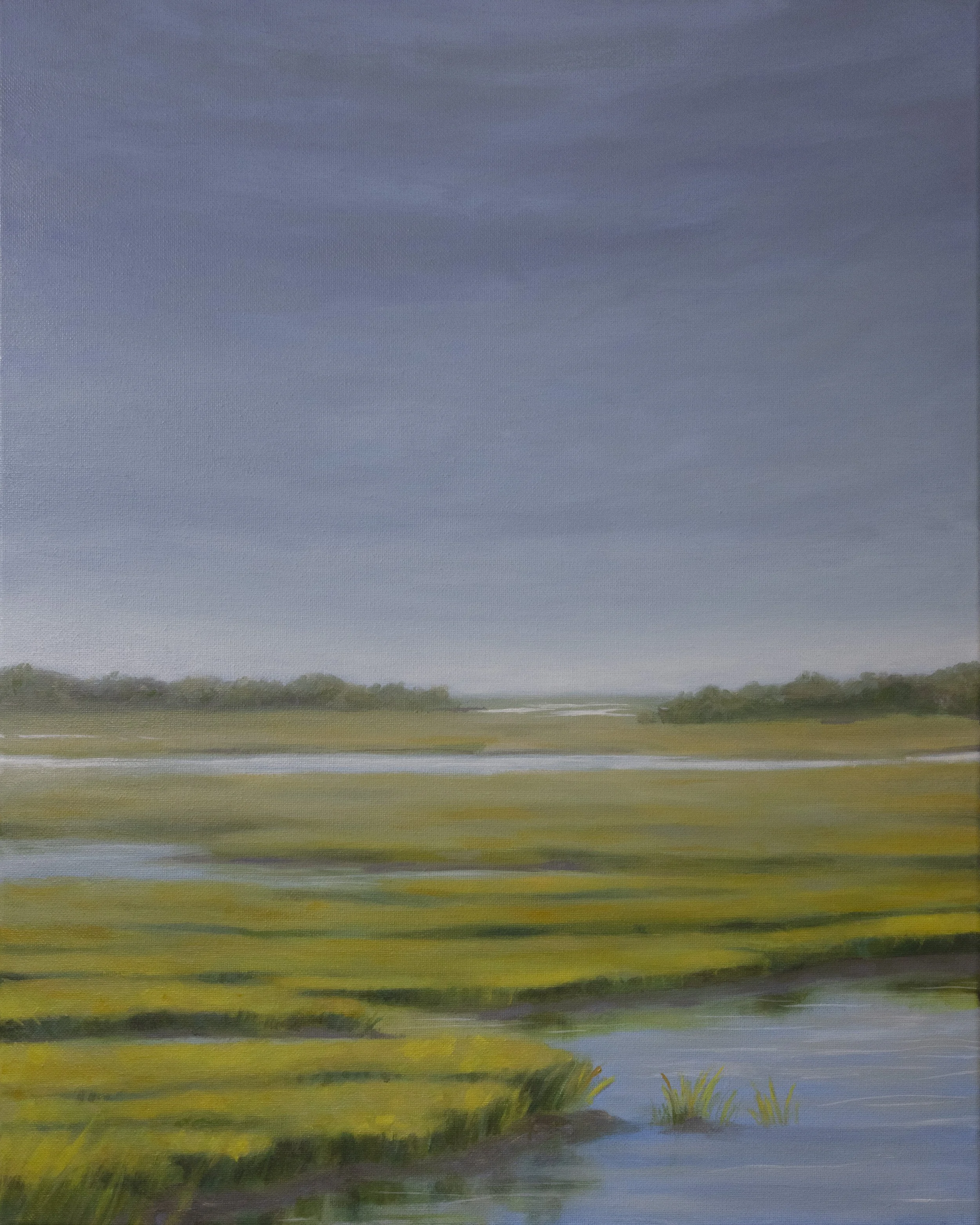 Daylight Marsh 11.11.JPG