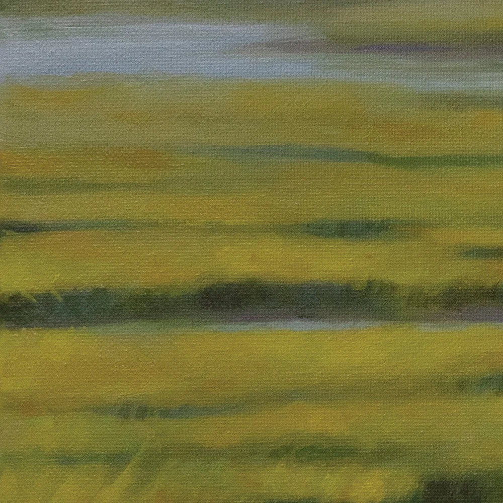 Daylight-Marsh--3x1_01.jpg