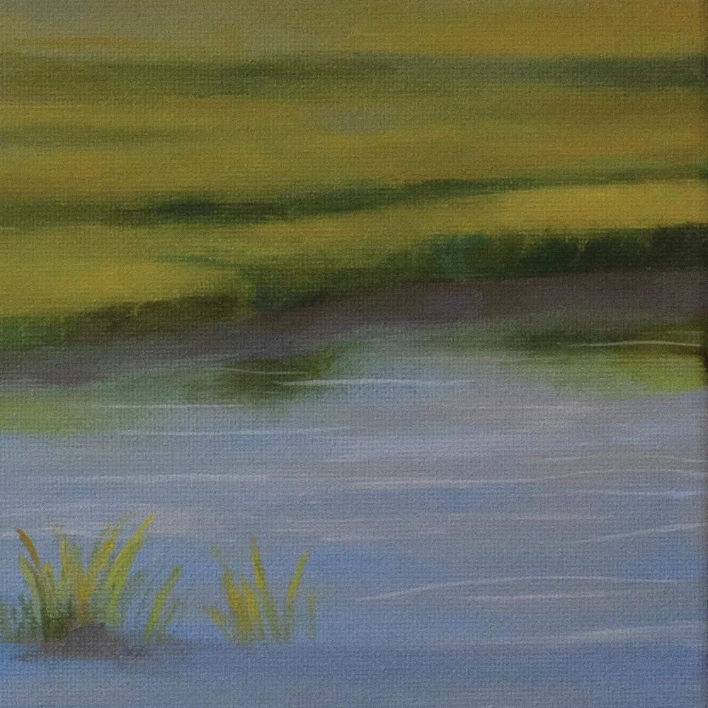 Daylight-Marsh--3x1_03.jpg