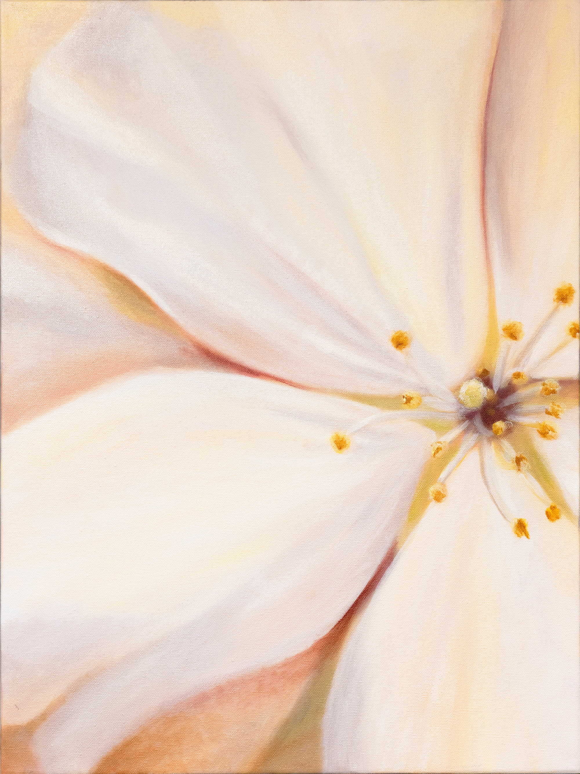 Cherry Blossoms 18x24 small.png