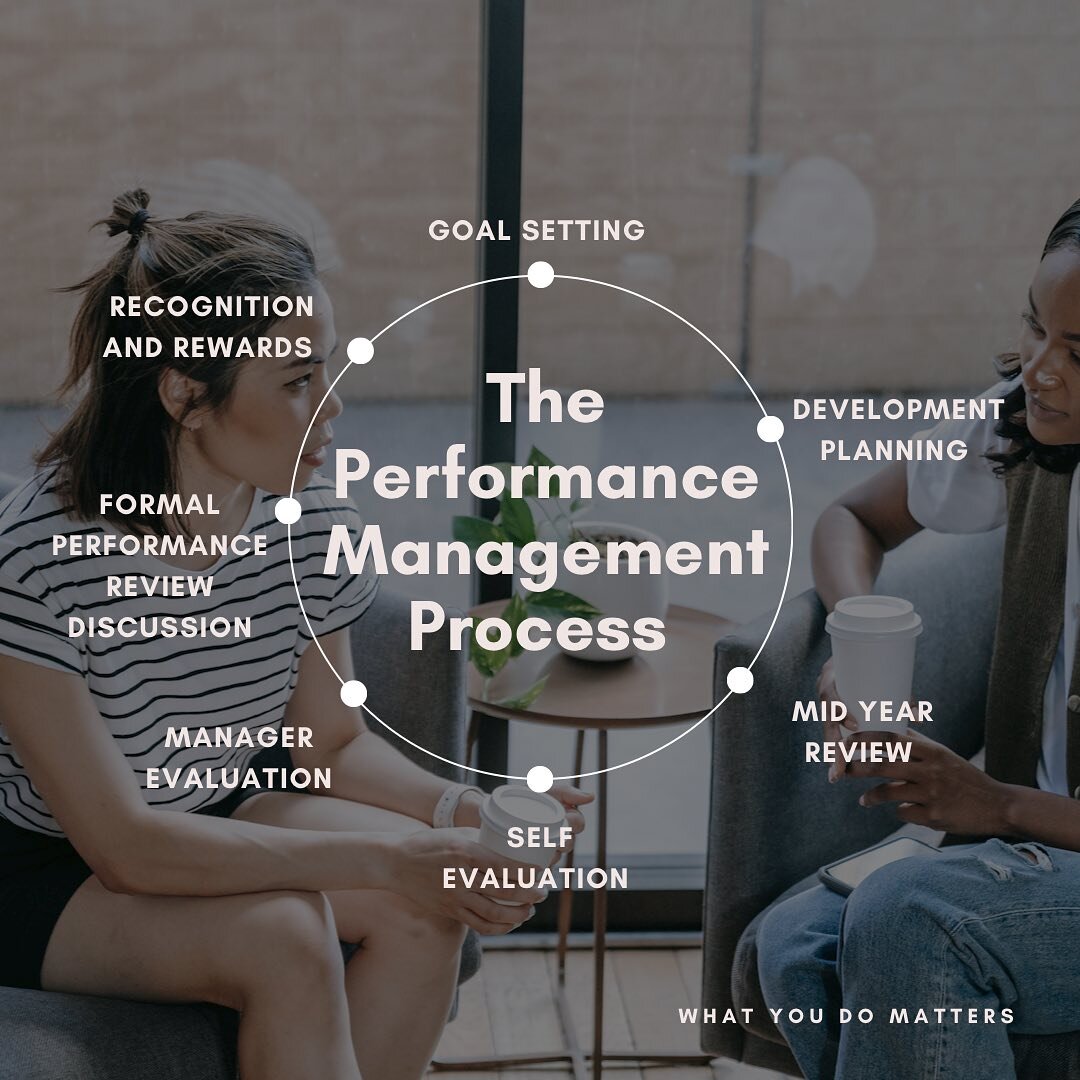 Welcome to review season! Today, we&rsquo;re giving you the skinny on the Performance Management Process. 

The Performance Management Process is a crucial part of any organization's structure. It's a systematic approach that allows both employees an