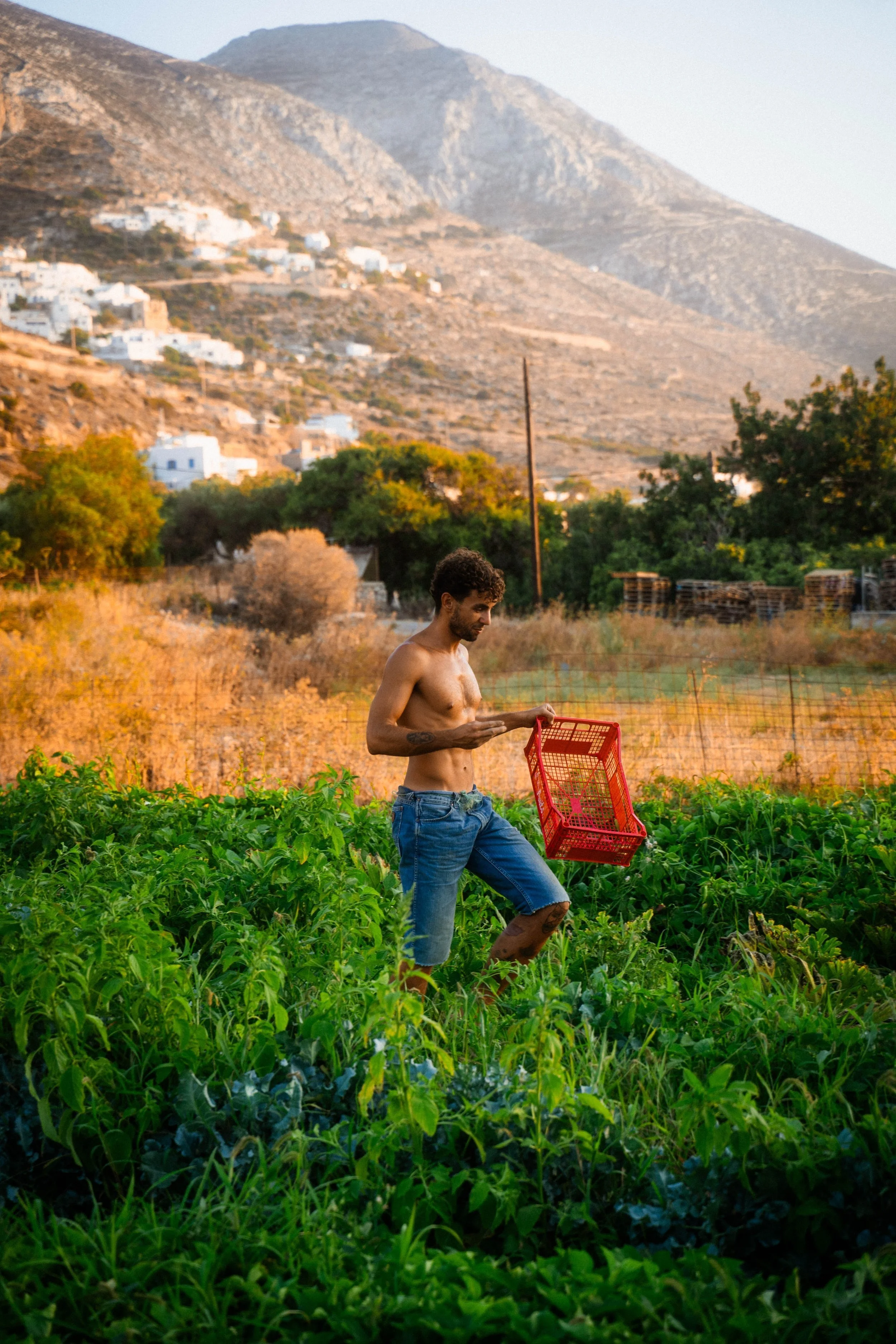 "Greek Farming" Story