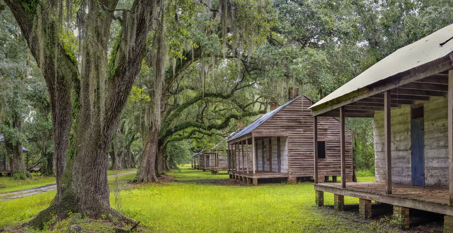 Cabins and oaks, upriver (east) side of quarters