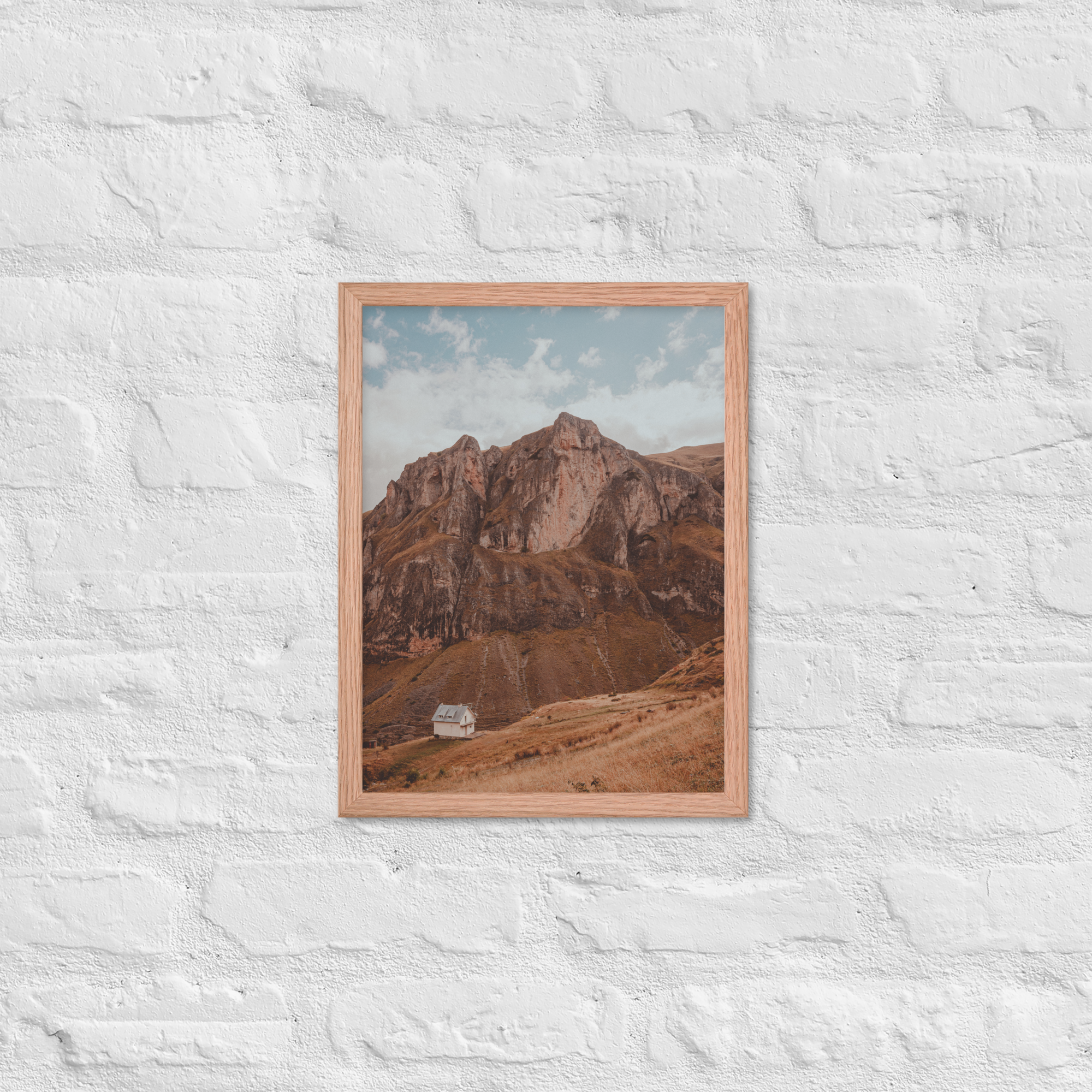 enhanced-matte-paper-framed-poster-(in)-red-oak-12x16-front-63807ef542b1f.png