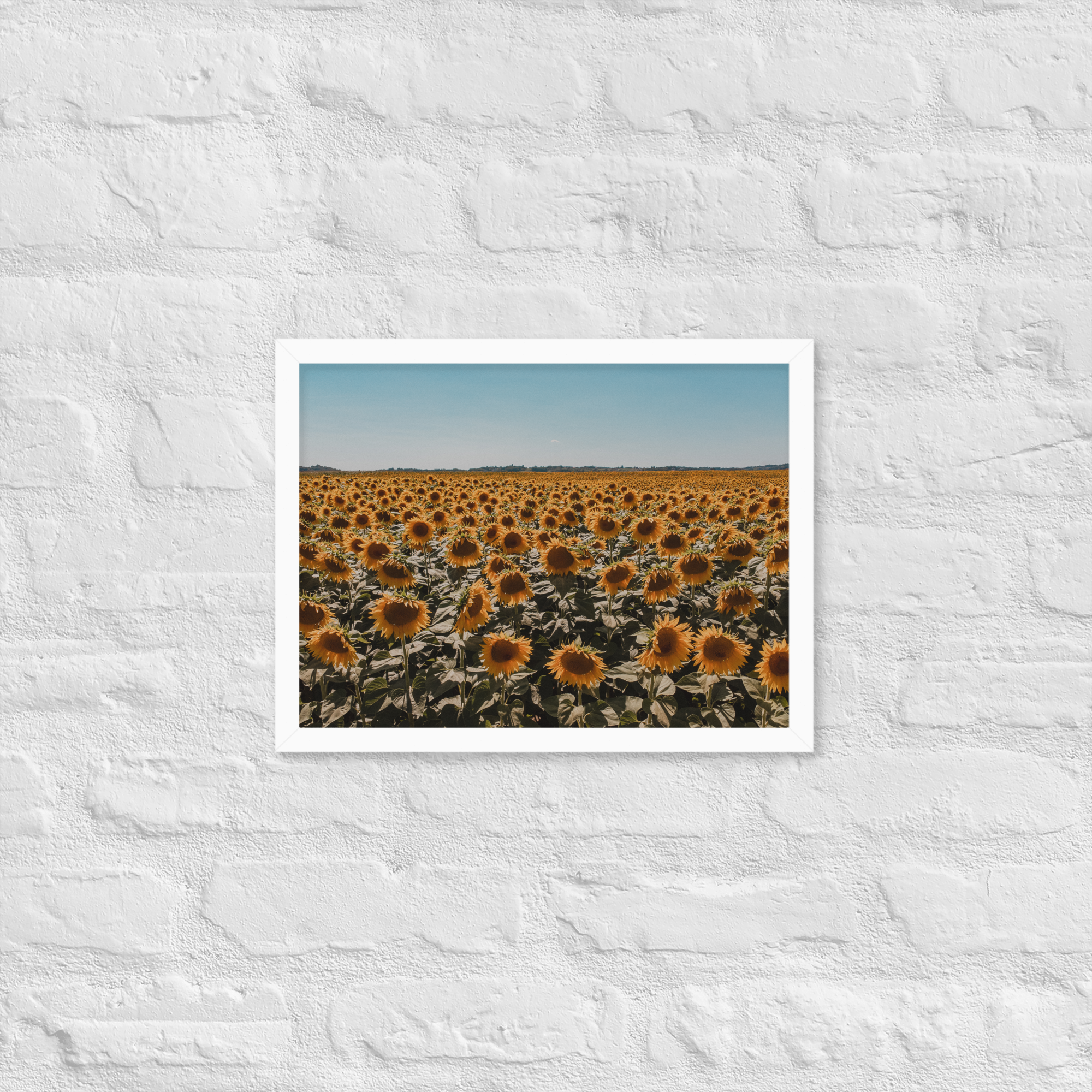 enhanced-matte-paper-framed-poster-(in)-white-12x16-front-6385dd7dd5626.png