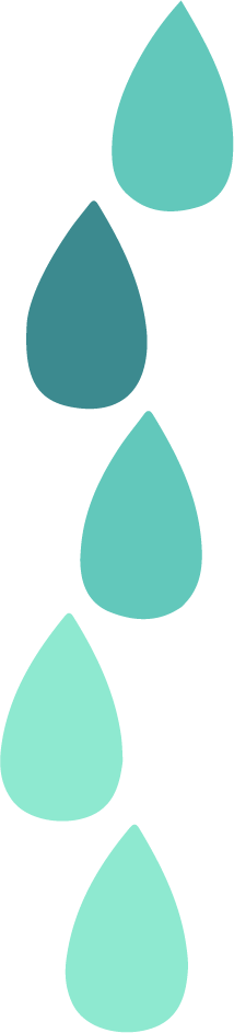 Asset 18.png