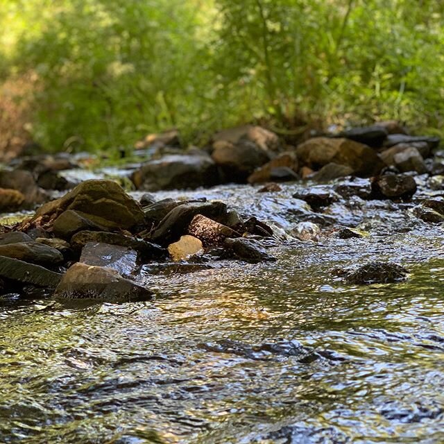 #staffpicnic today outside of Madrid in the mountains ⛰ beside a little stream, in the shade of the trees 🌳 (definitely more photos later!) #doesntgetbetterthanthis #raineydaysinspain