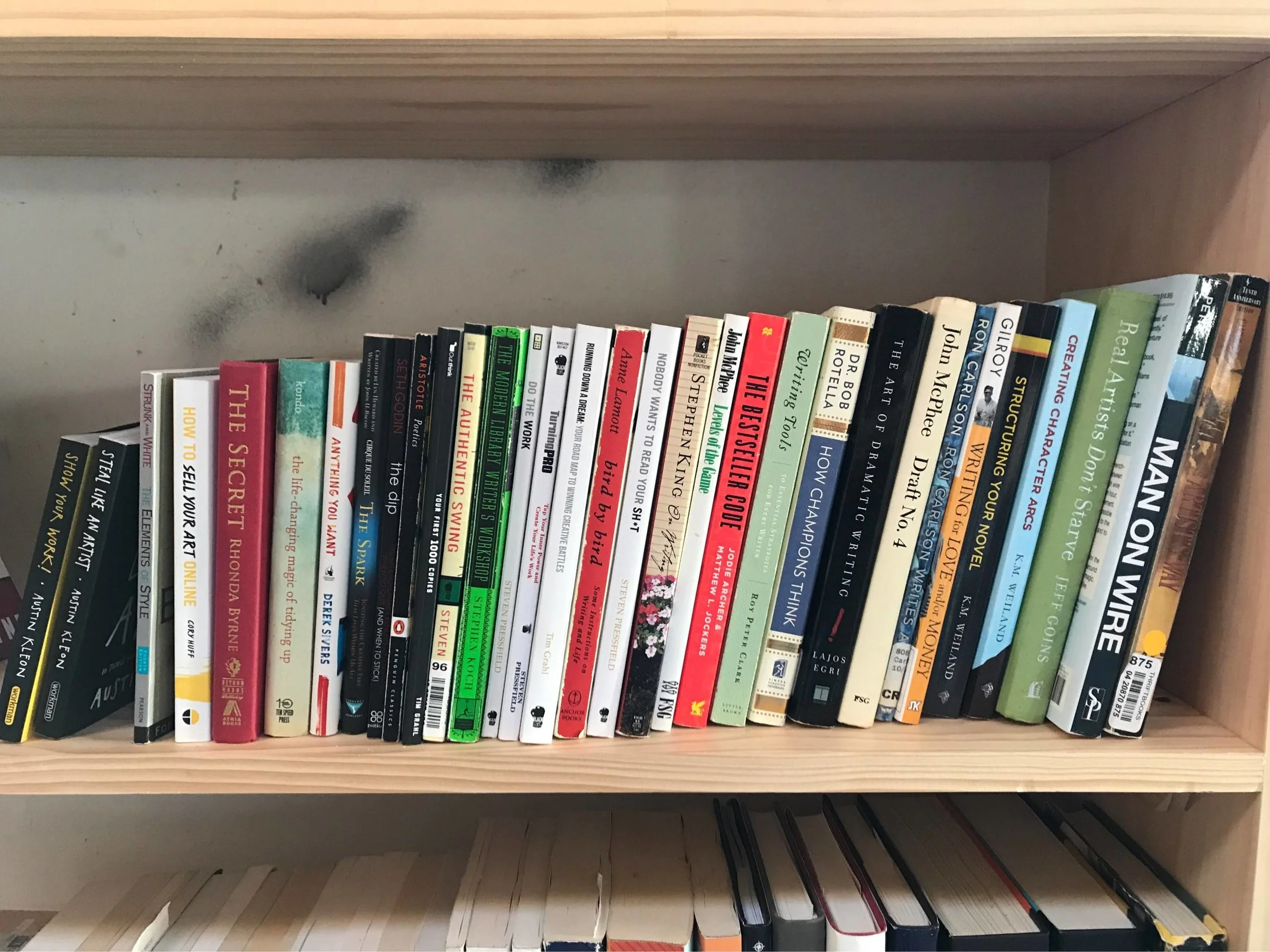 Book Shelf 1.jpg