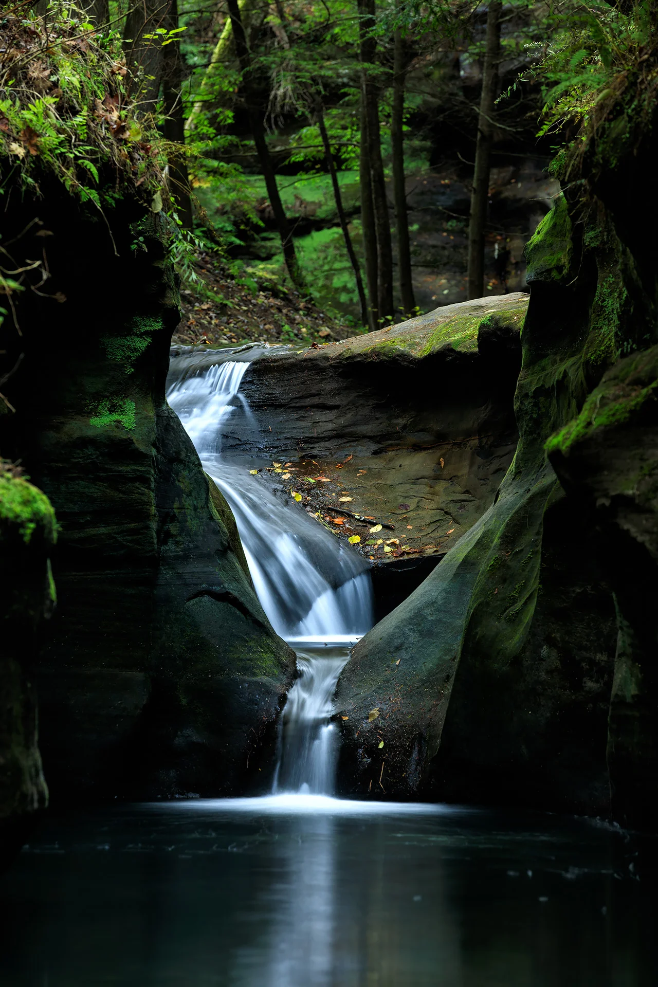 Hocking-Hills-Fall-2018-0839-web.jpg