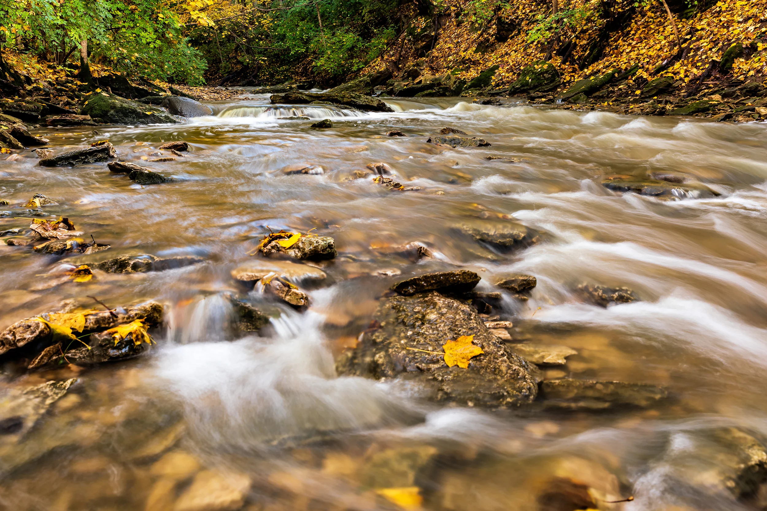 Fall-2018-0449-Edit-Edit.jpg
