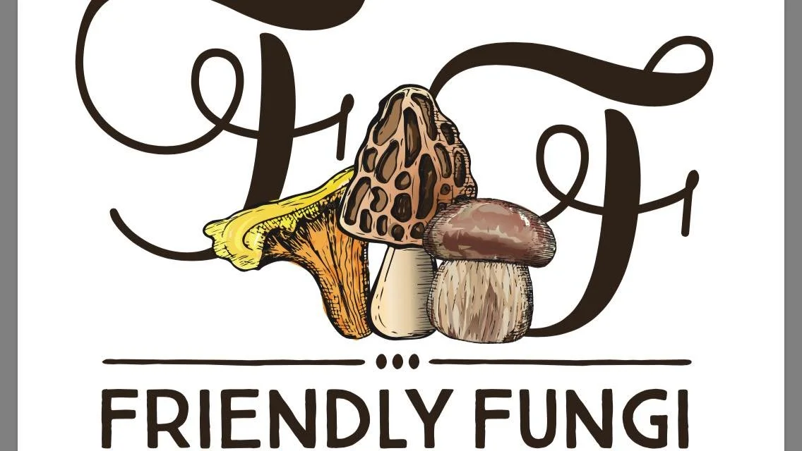 The Friendly Fungi - Fall Forage