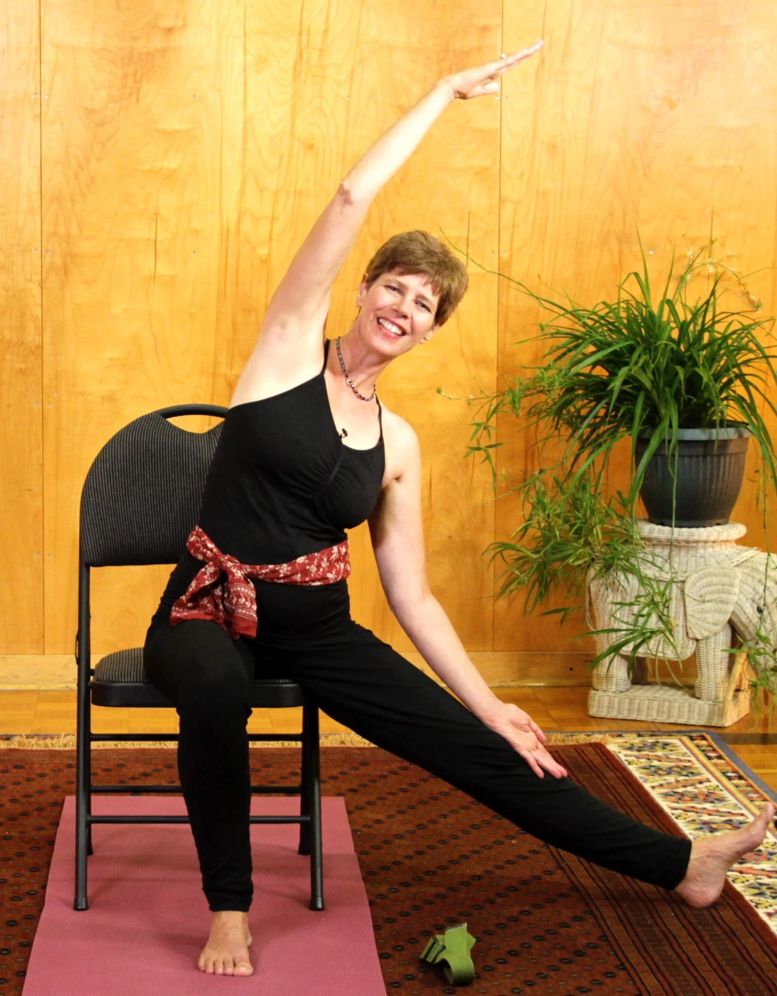 Gate in Chair.jpg