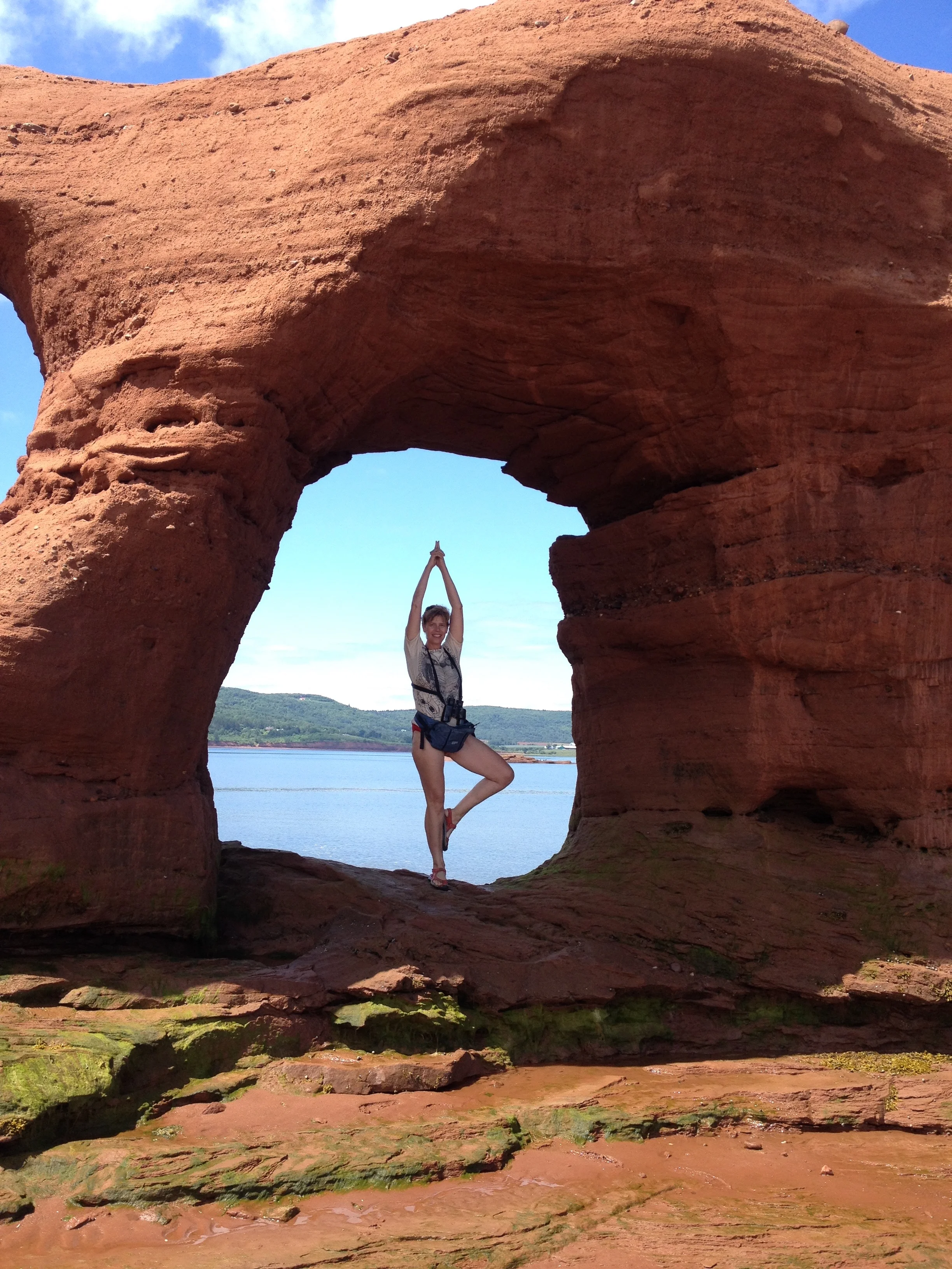 TREE POSE ON SANDSTONE BEACH