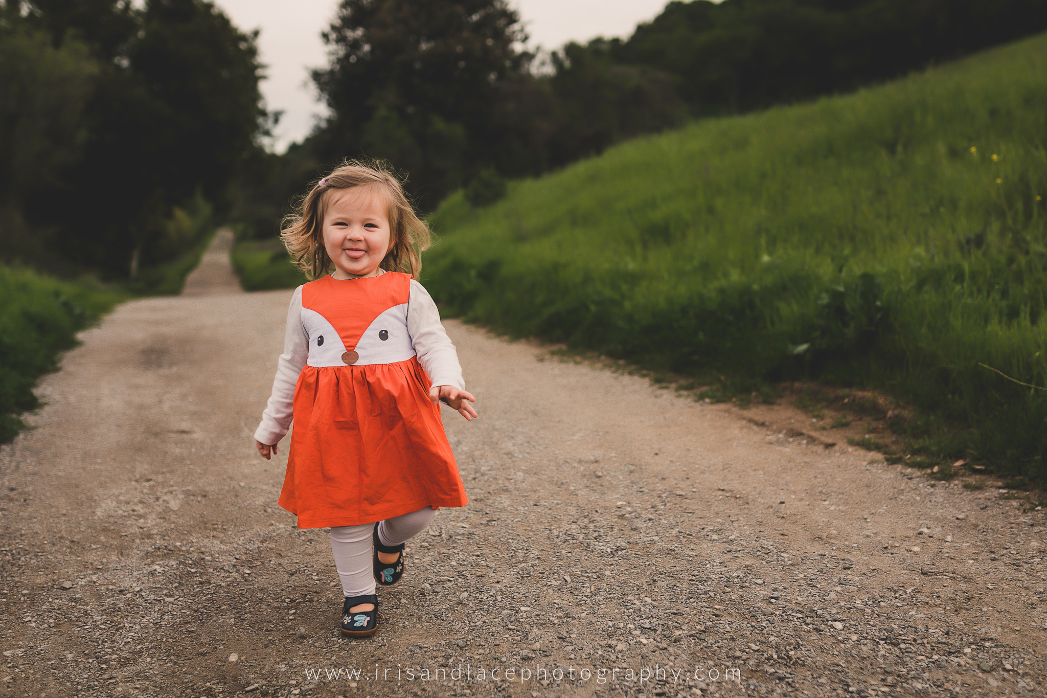 Toddler  |  Silicon Valley Family Photography 
