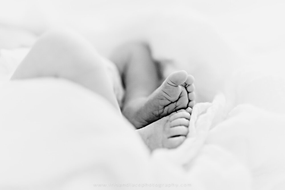 black and white timeless newborn photos