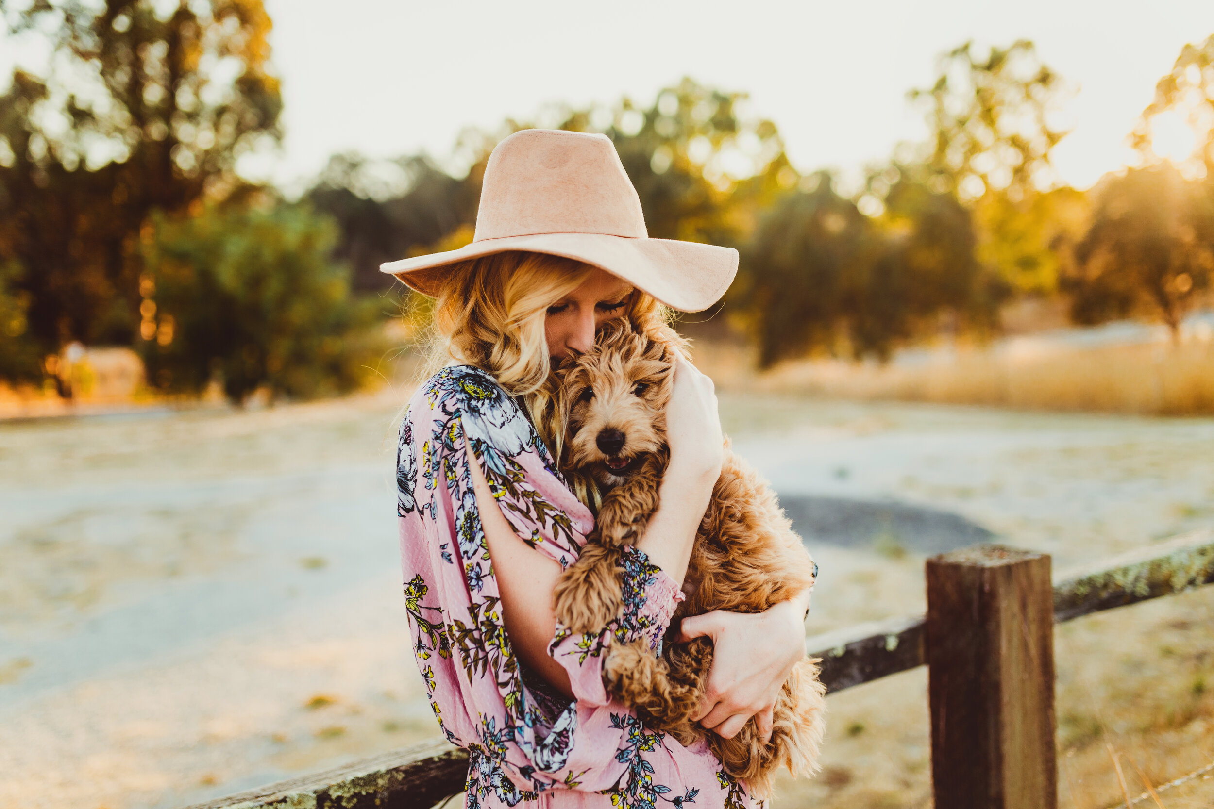 Family photos with a dog  |   Iris and Lace Photography