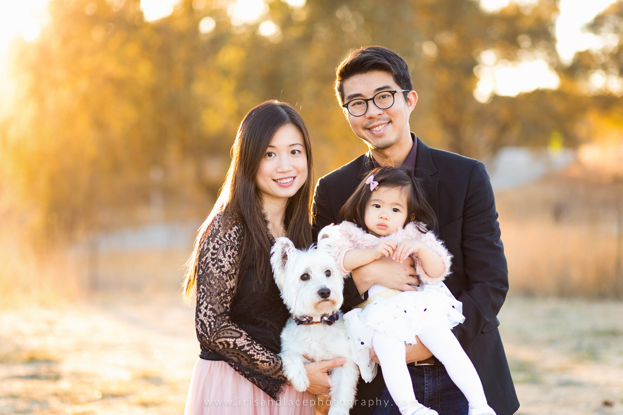 Palo Alto Fall Family Photos with Dog  |  Iris and Lace Photography 